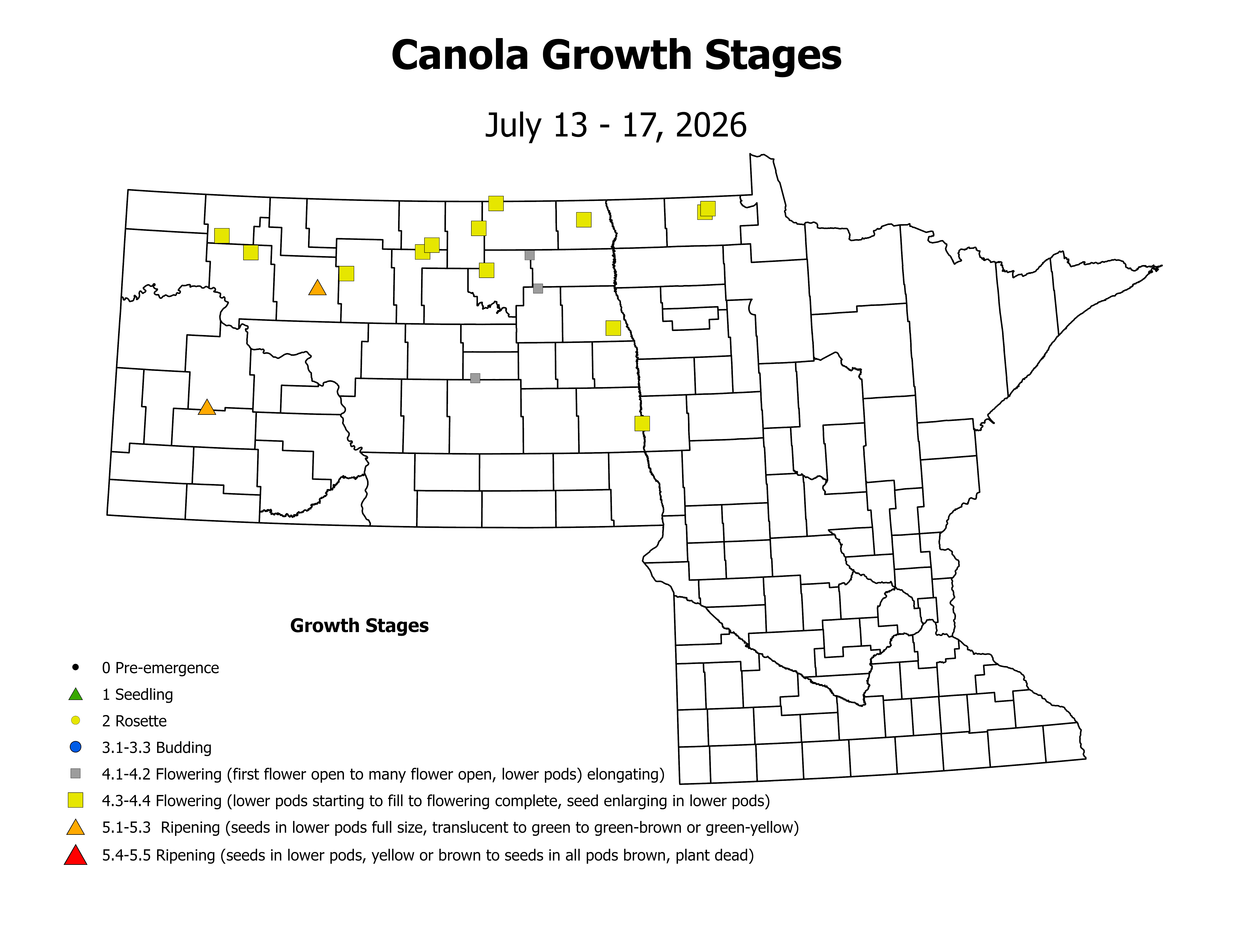 canolaInsectTrap_CropStage_2026July13ToJuly17
