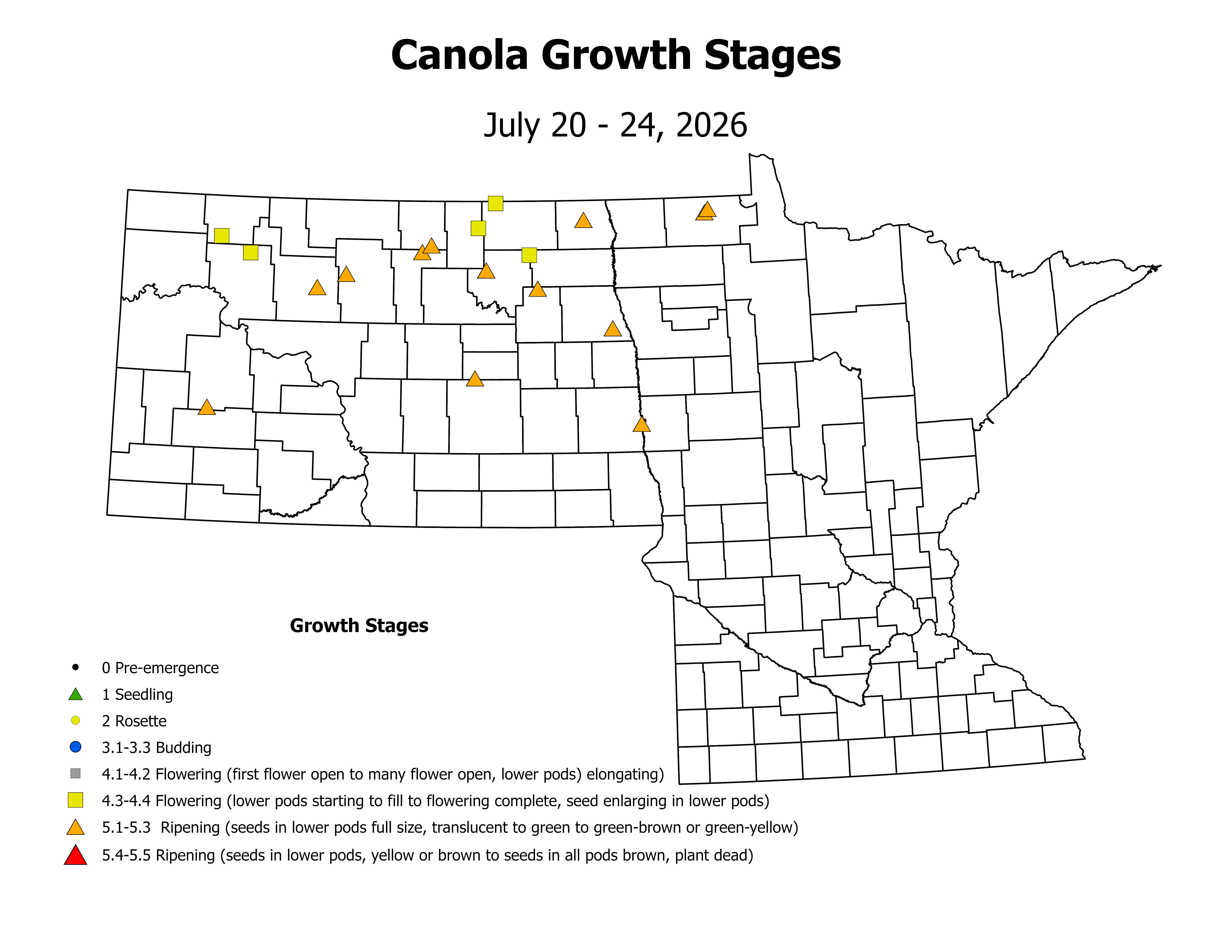 canolaInsectTrap_CropStage_2026July20ToJuly24