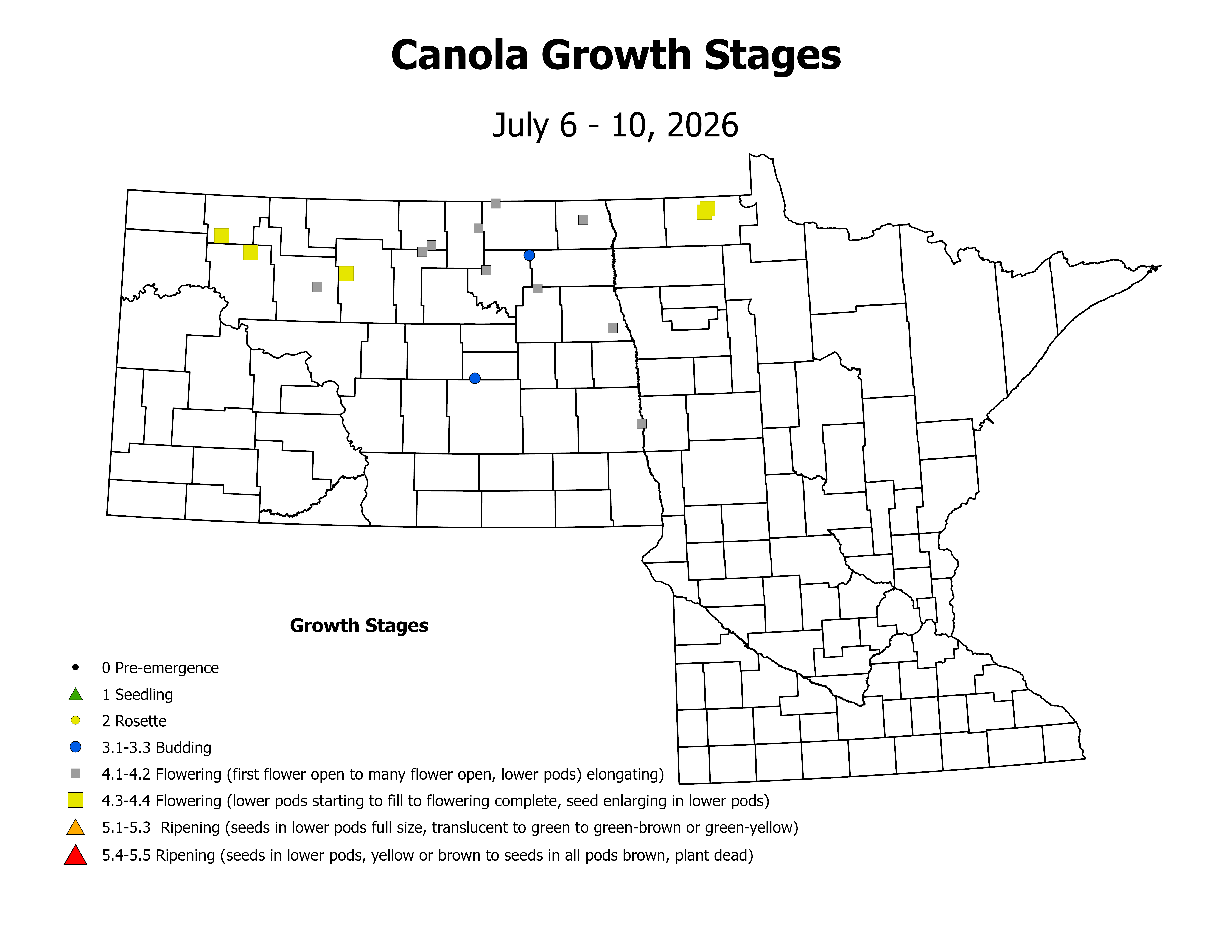canolaInsectTrap_CropStage_2026July6ToJuly10