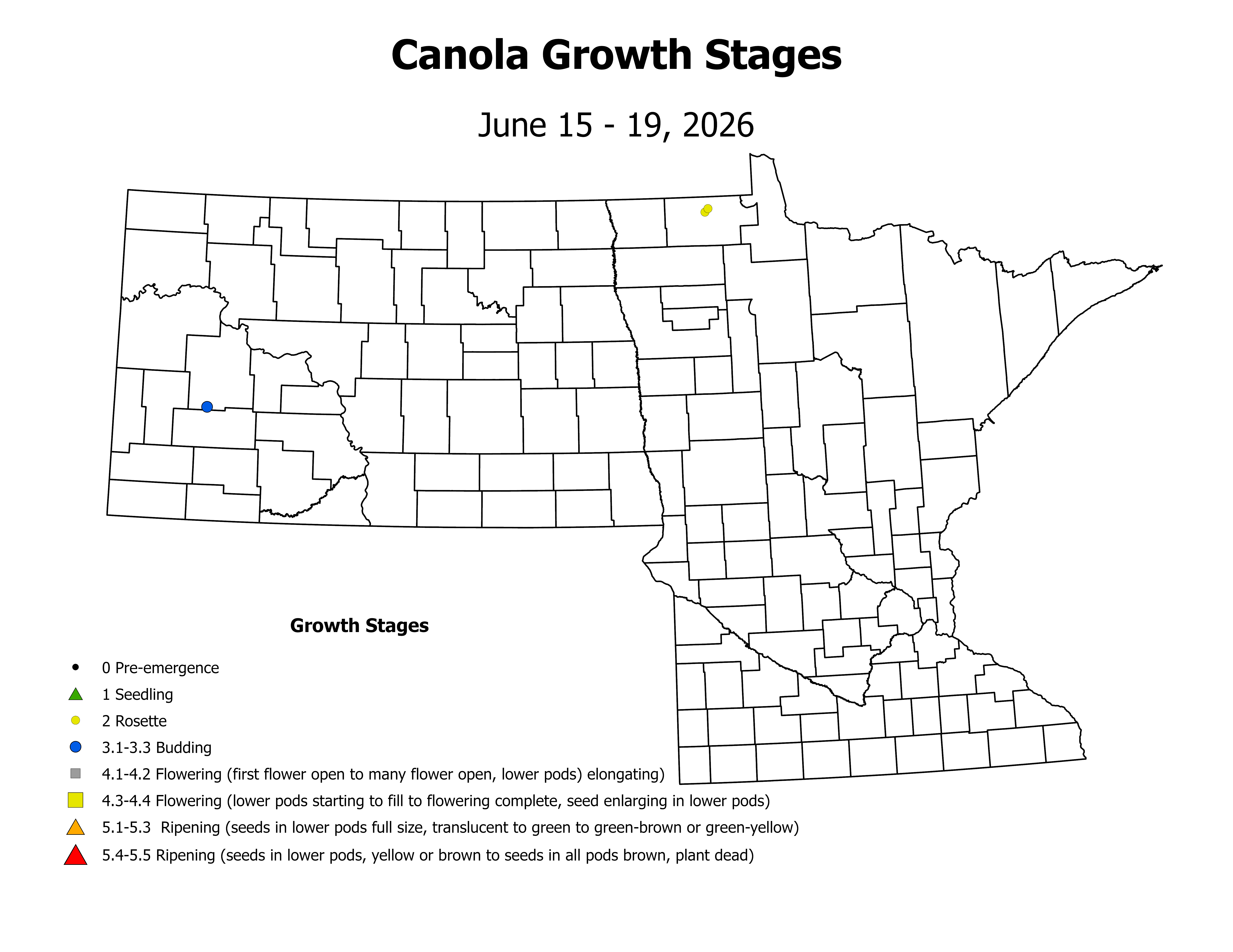 canolaInsectTrap_CropStage_2026June15ToJune19