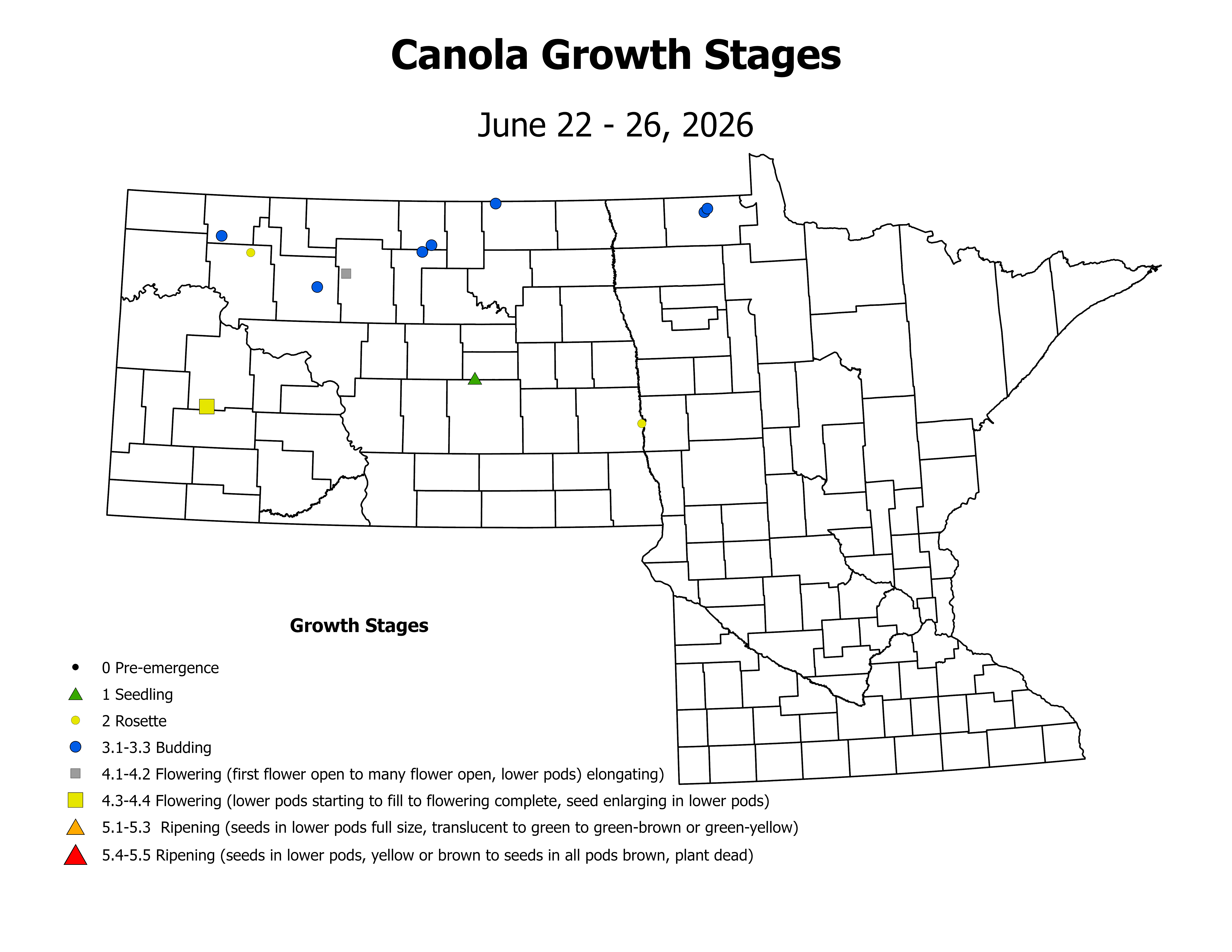 canolaInsectTrap_CropStage_2026June22ToJune26