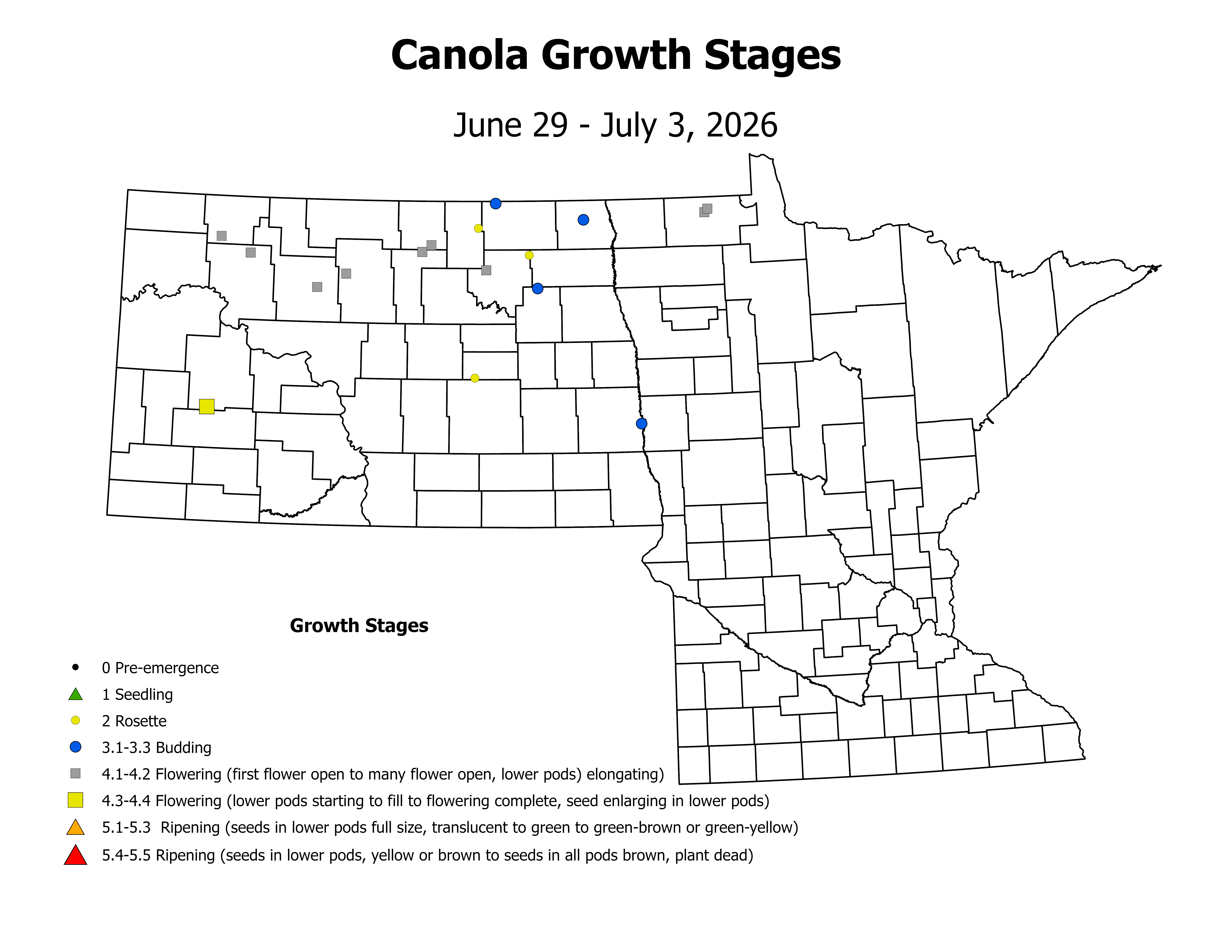 canolaInsectTrap_CropStage_2026June29ToJuly3