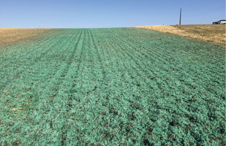hydromulch