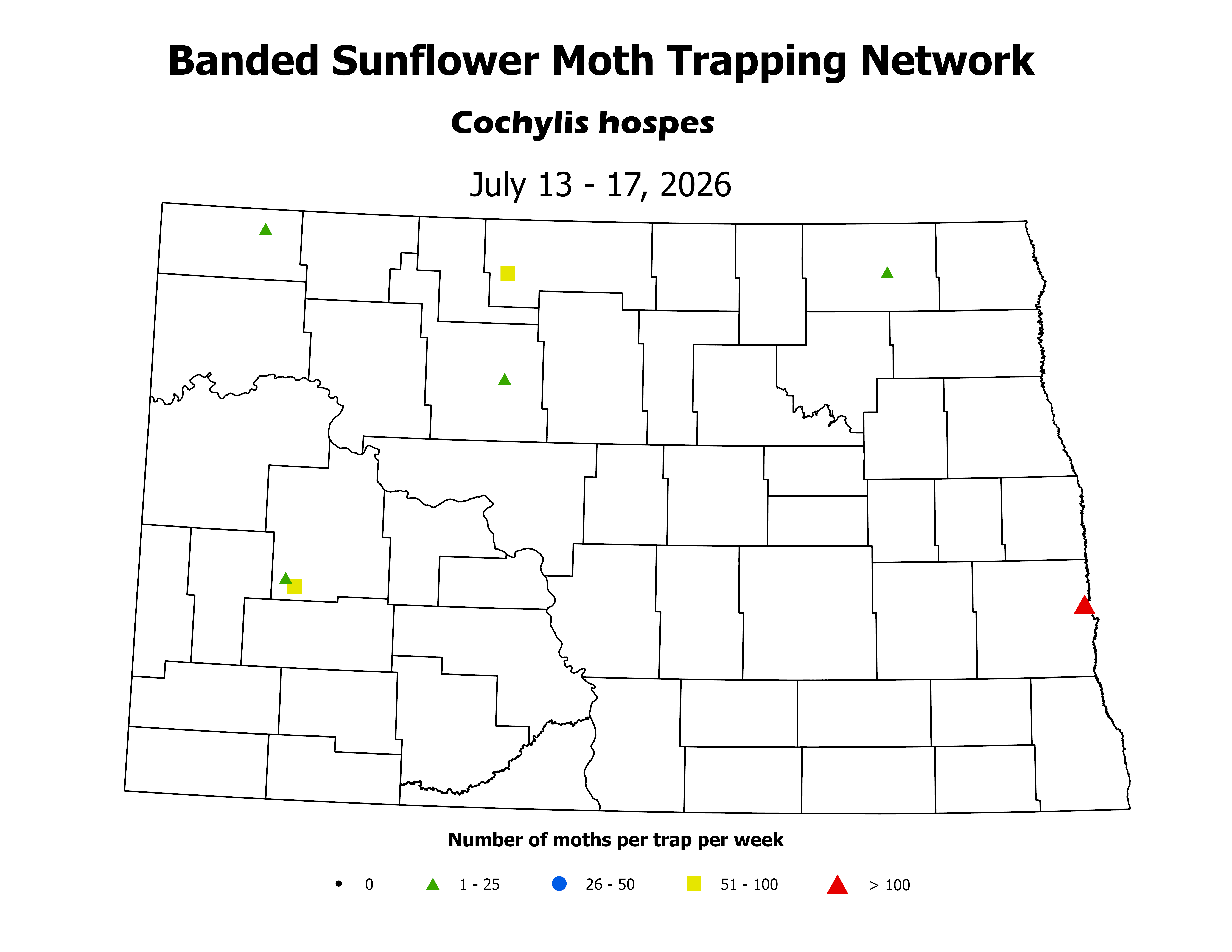 sunflowerInsectTrap_BSM_Count_2026July13ToJuly17