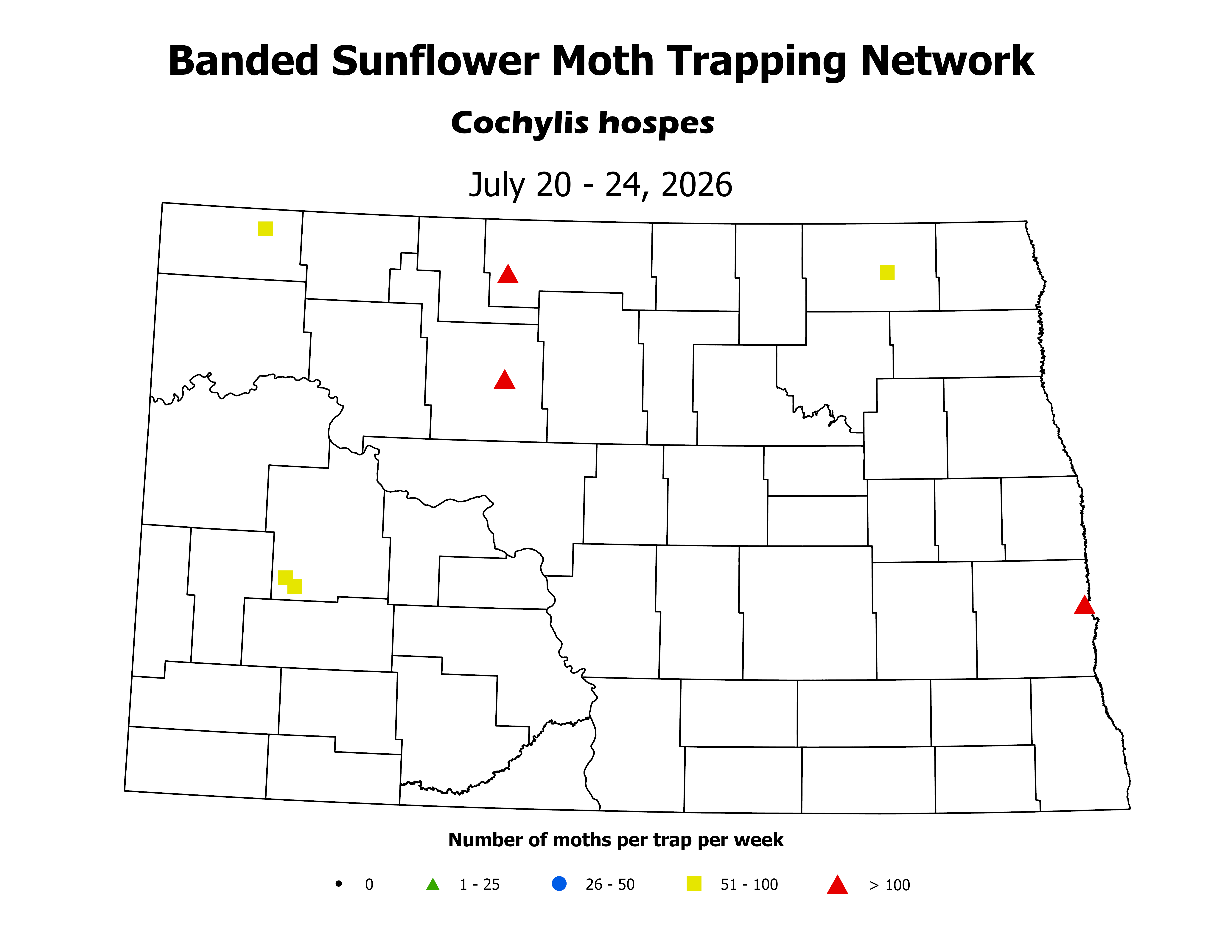 sunflowerInsectTrap_BSM_Count_2026July20ToJuly24