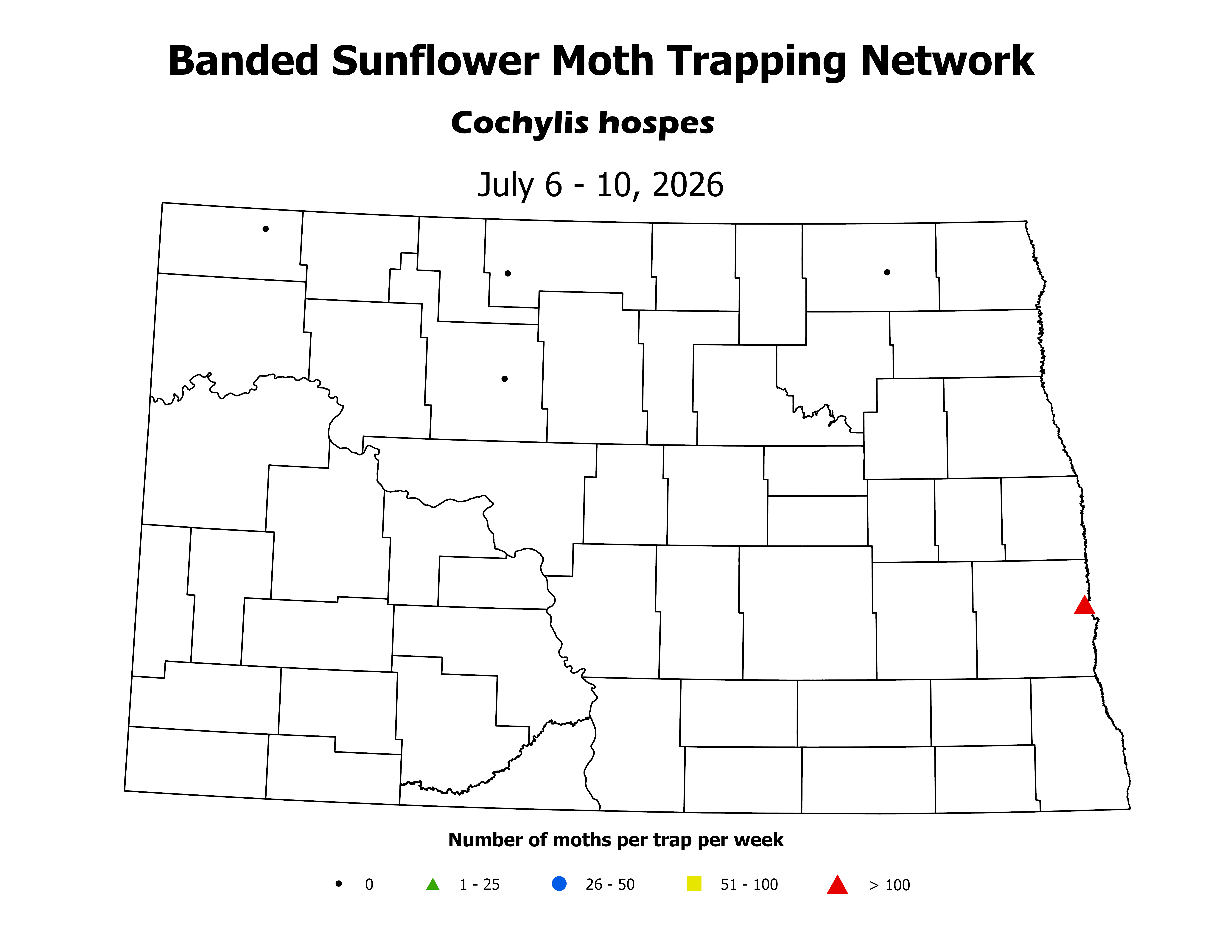 sunflowerInsectTrap_BSM_Count_2026July6ToJuly10