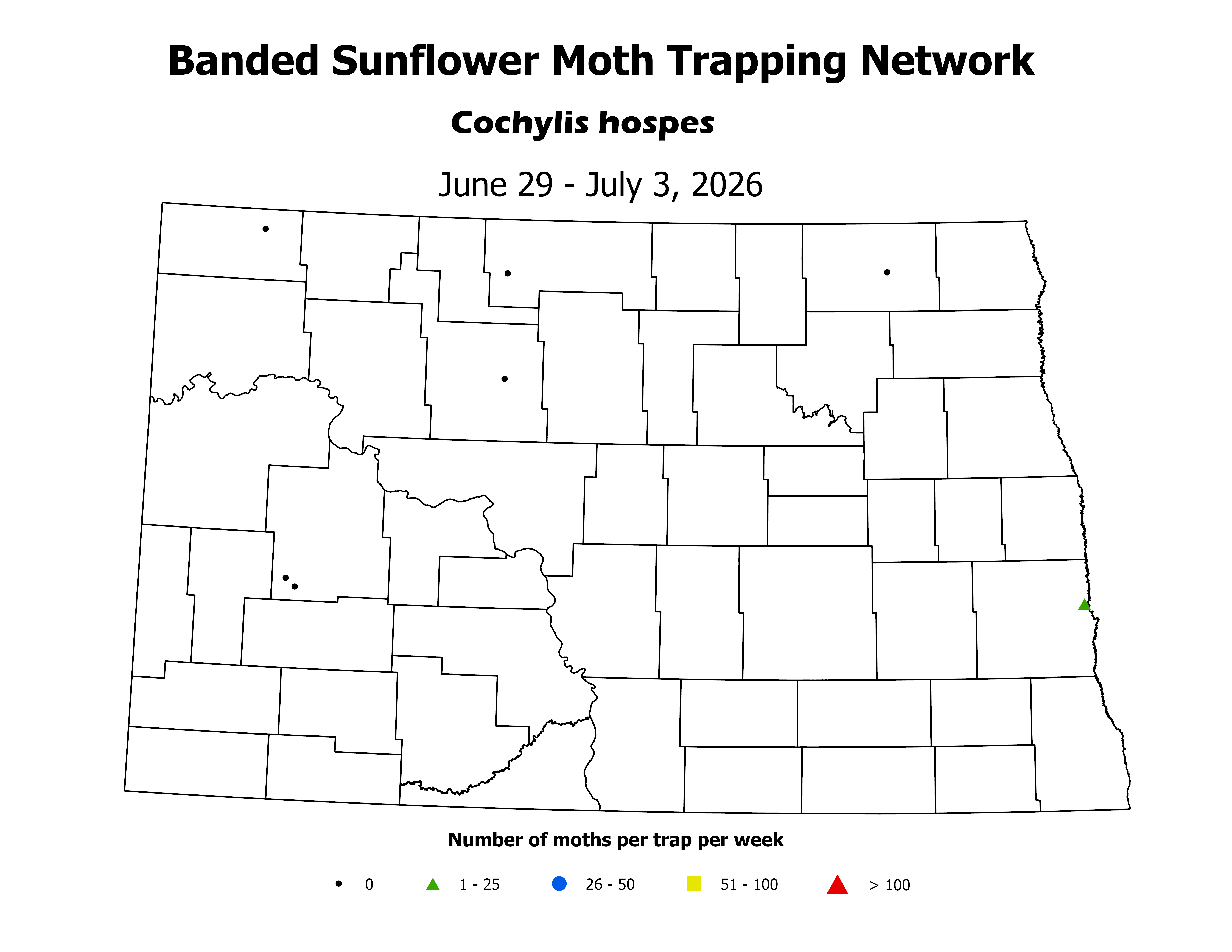 sunflowerInsectTrap_BSM_Count_2026June29ToJuly3