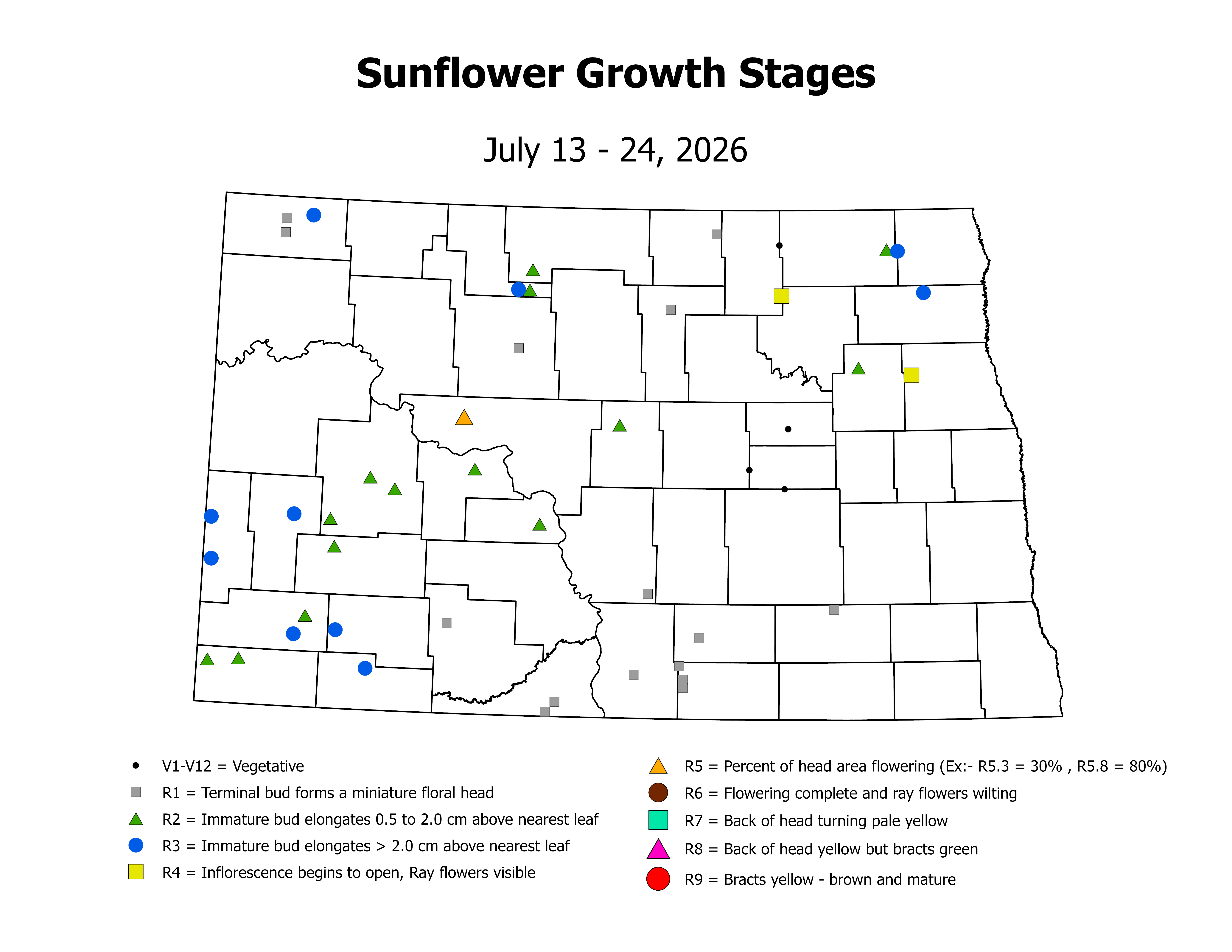 sunflower_CropStage_2026July13ToJuly24
