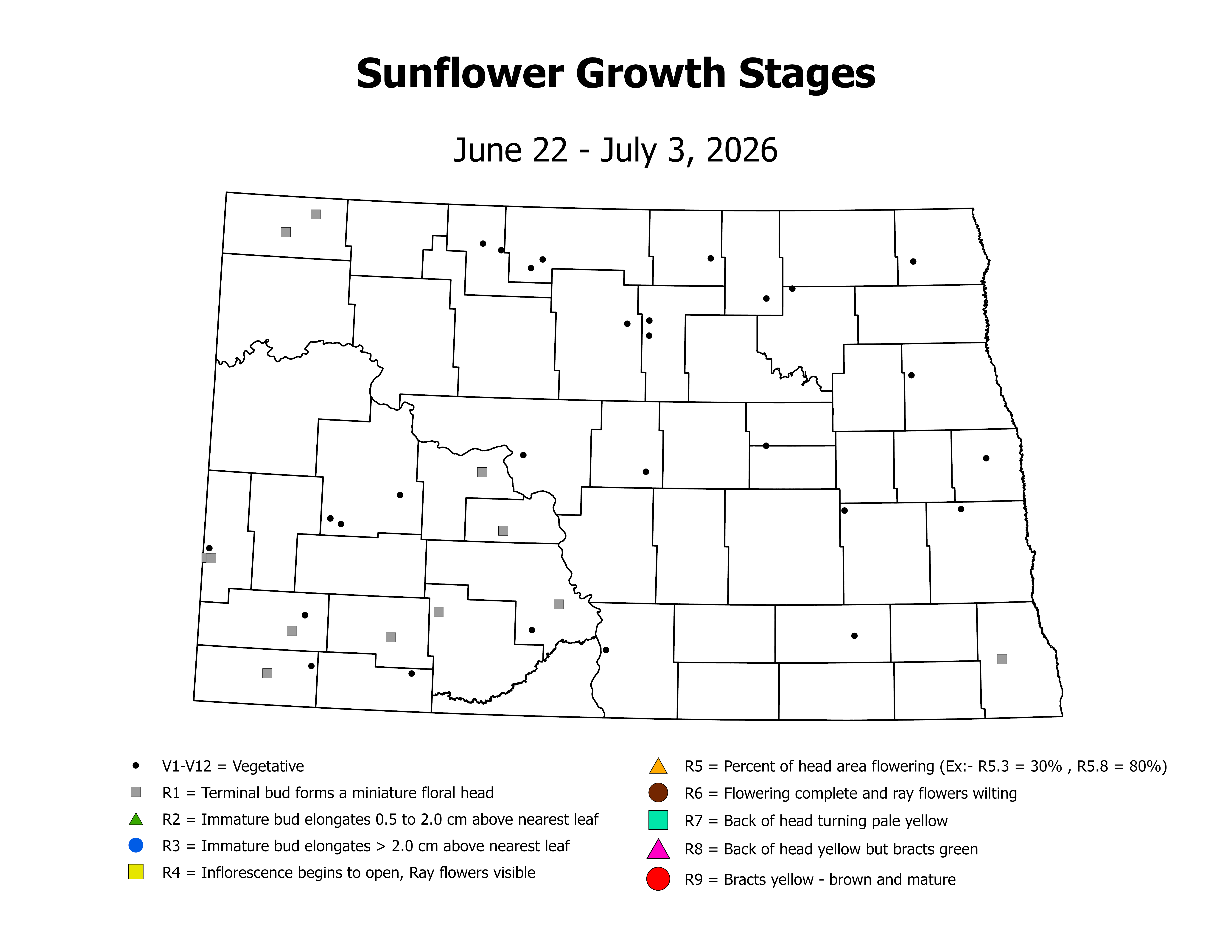 sunflower_CropStage_2026June22ToJuly3