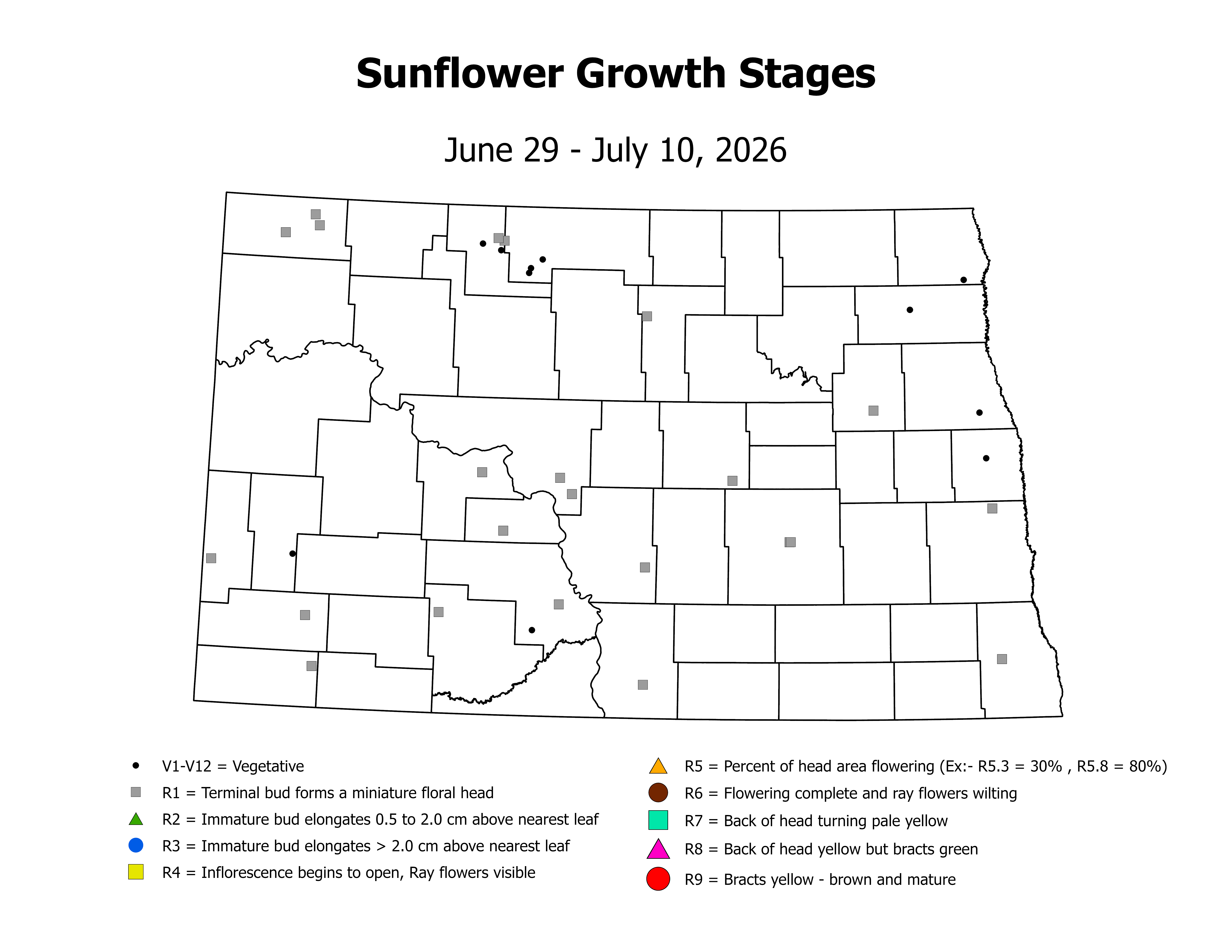 sunflower_CropStage_2026June29ToJuly10