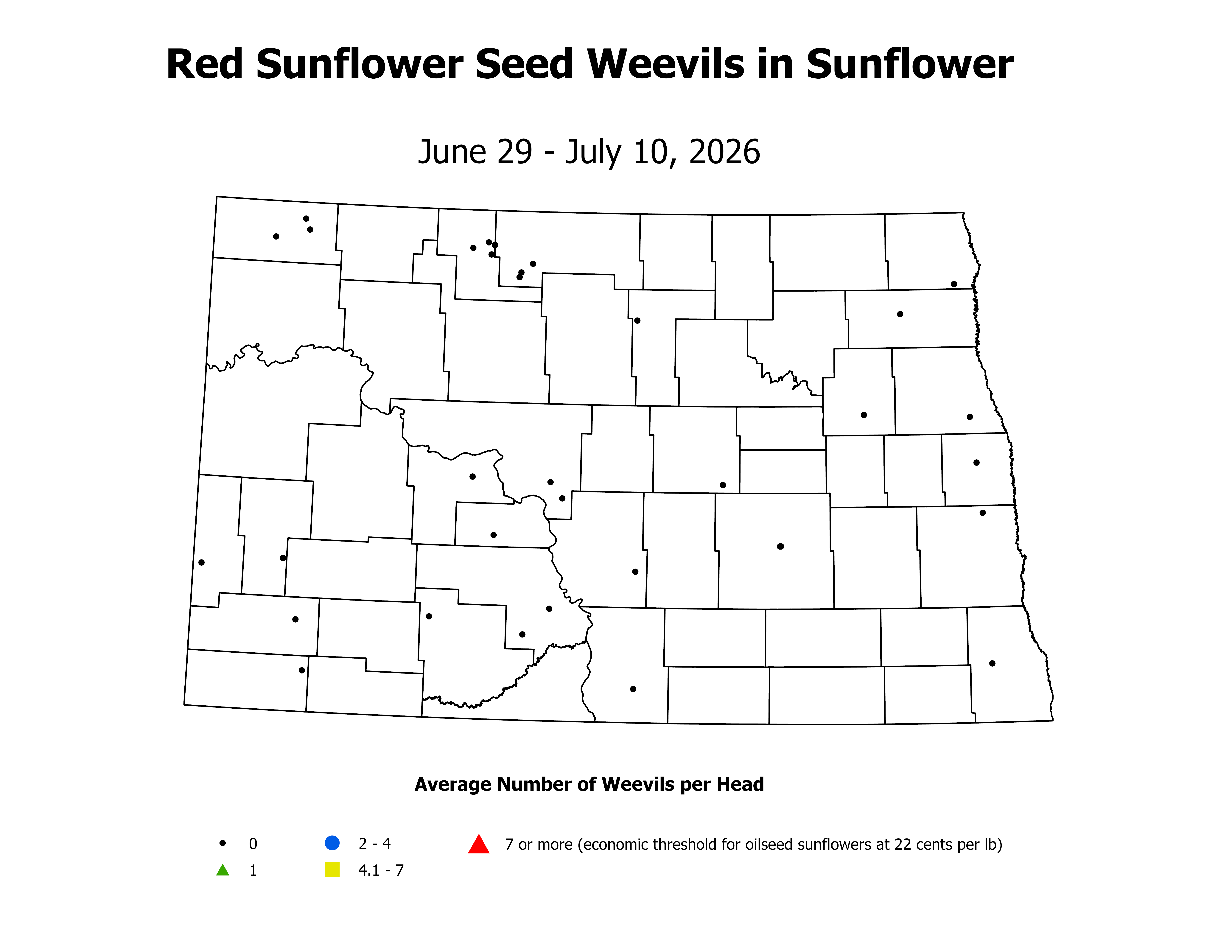 sunflower_RSSW_Head_2026June29ToJuly10