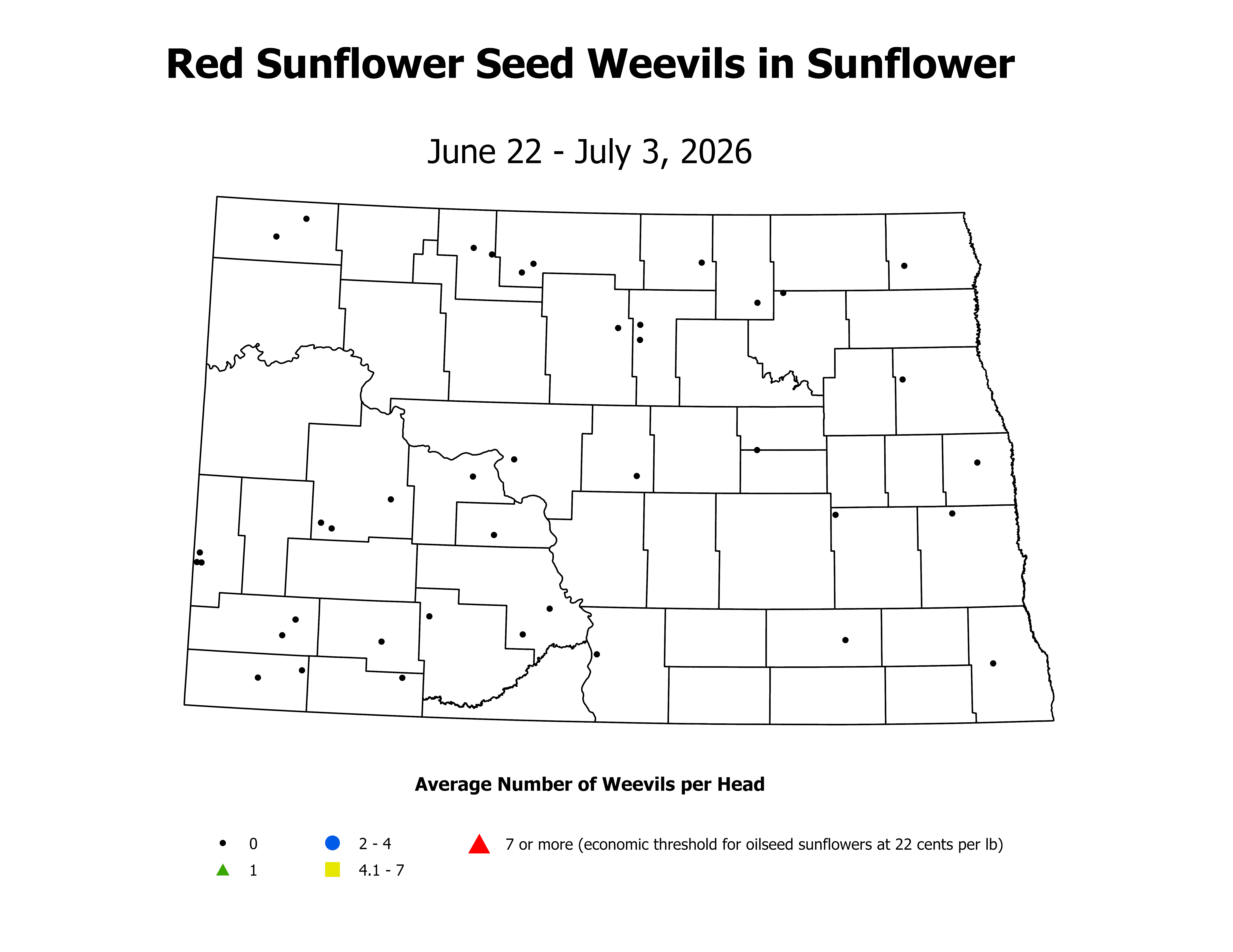 sunflower_RSW_Head_2026June22ToJuly3