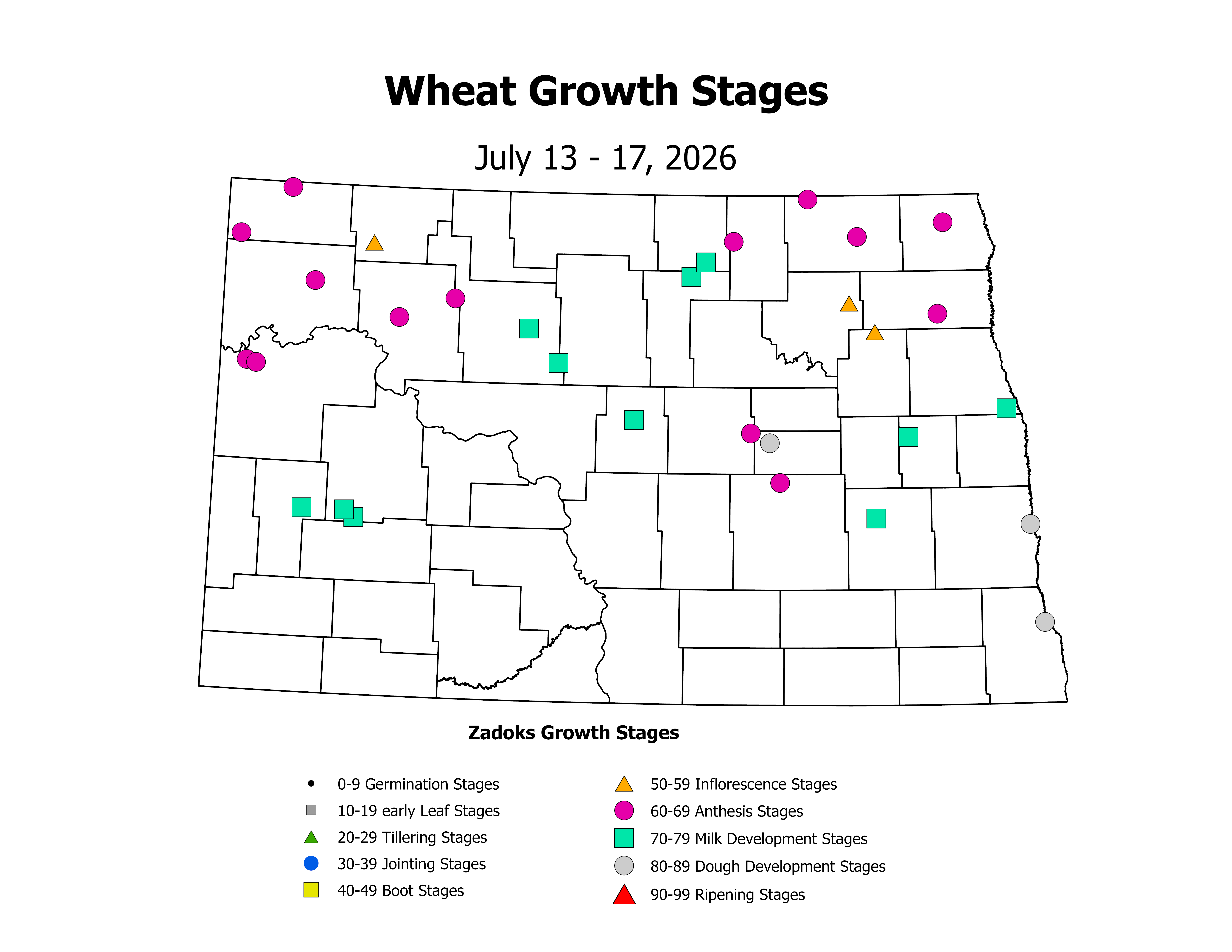 wheatInsectTrap_CropStage_2026July13ToJuly17