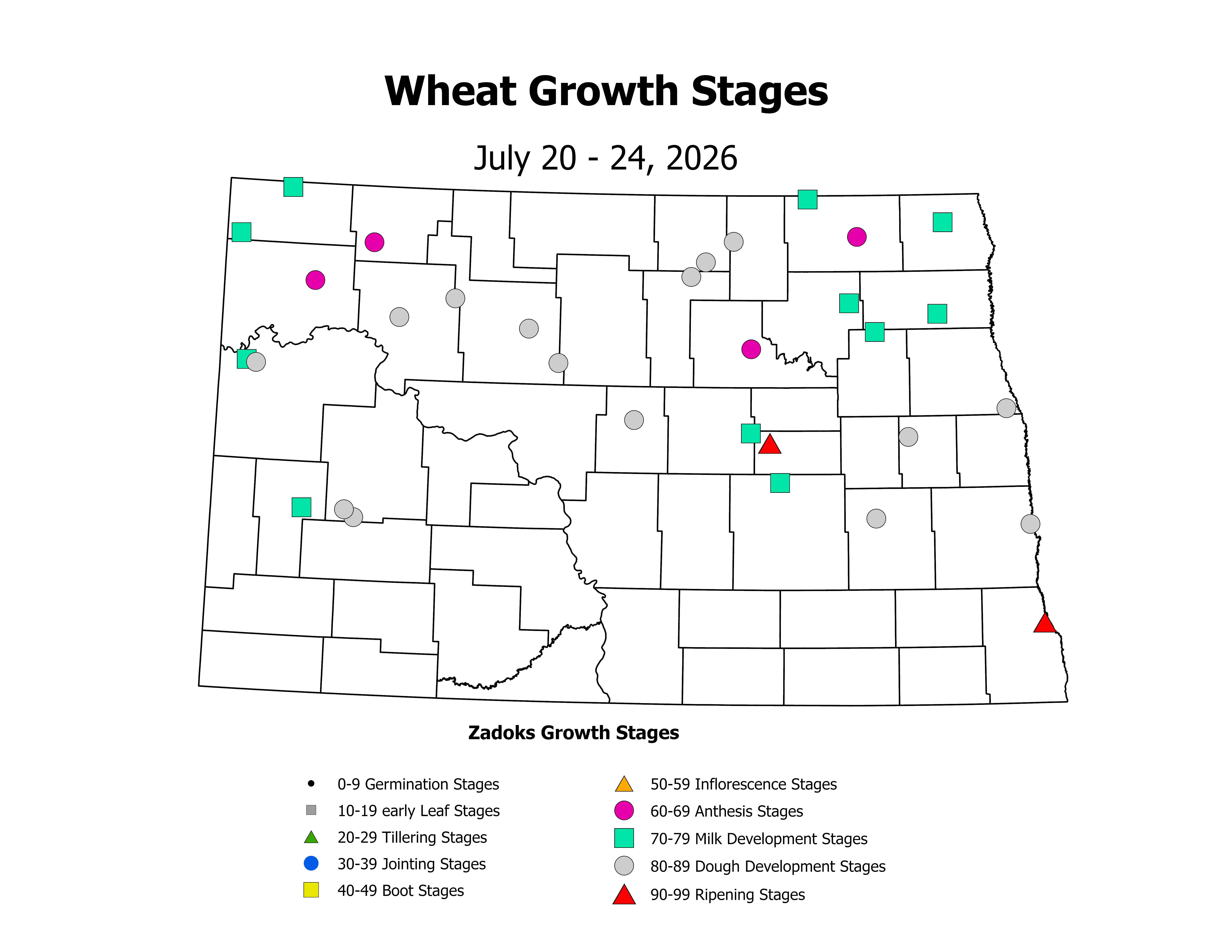 wheatInsectTrap_CropStage_2026July20ToJuly24