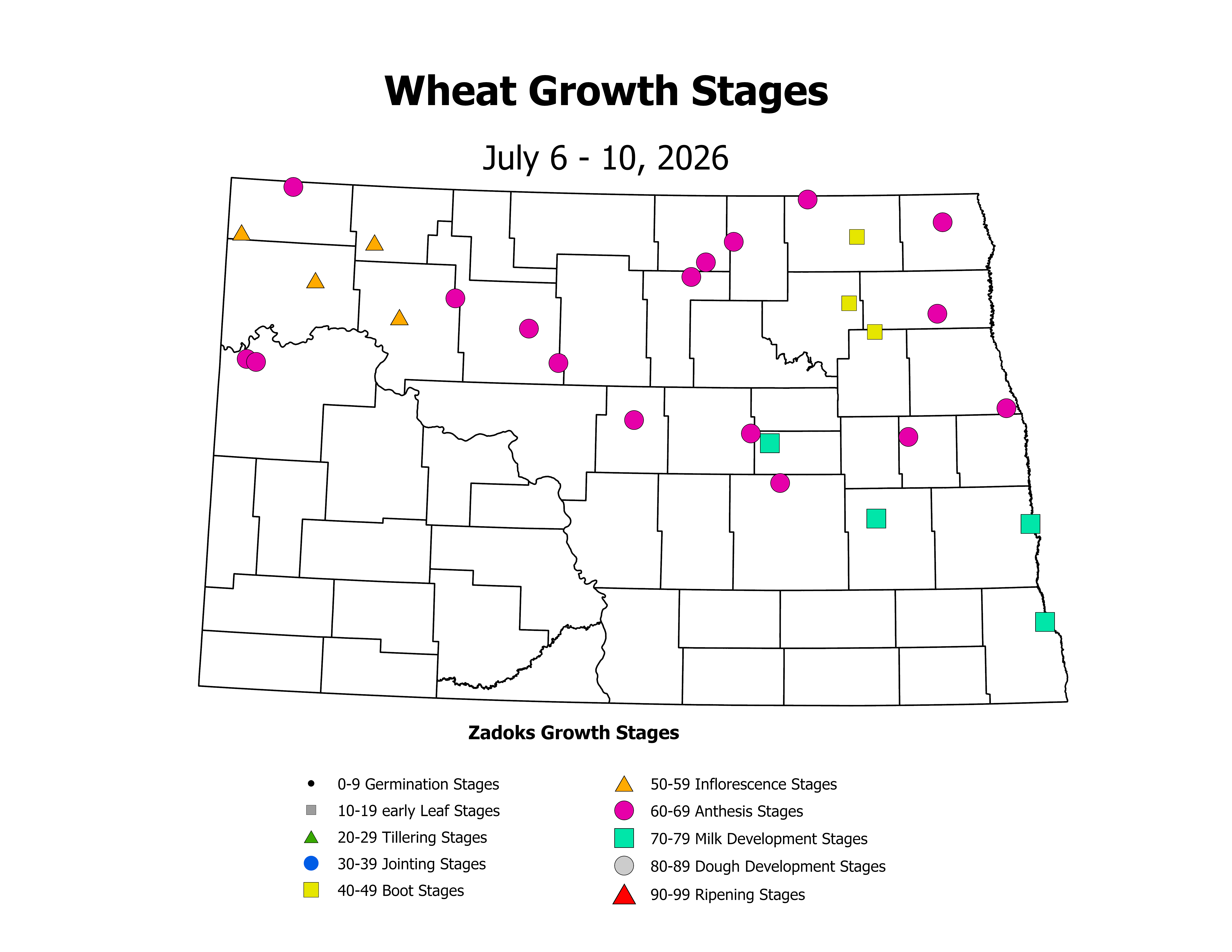 wheatInsectTrap_CropStage_2026July6ToJuly10