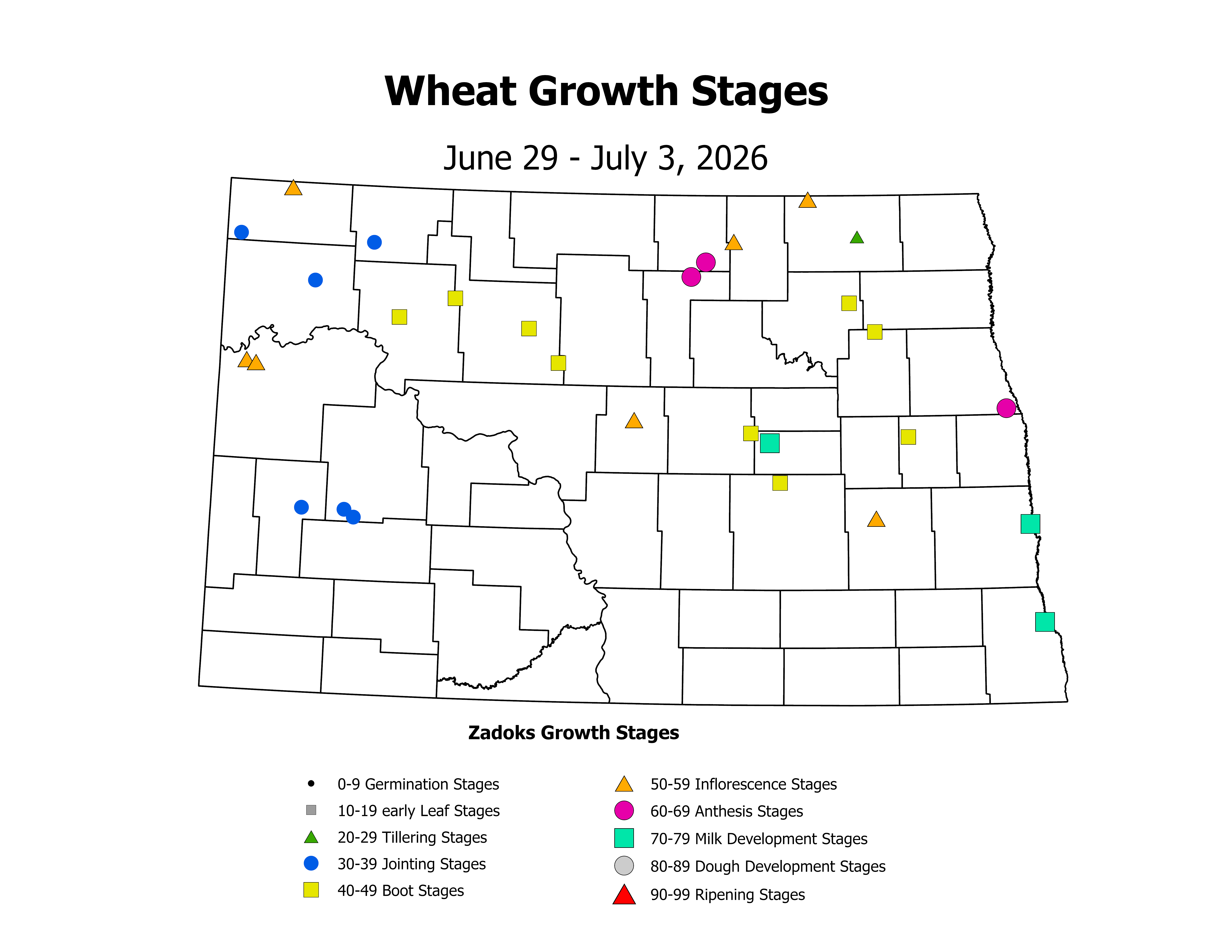 wheatInsectTrap_CropStage_2026June29ToJuly3