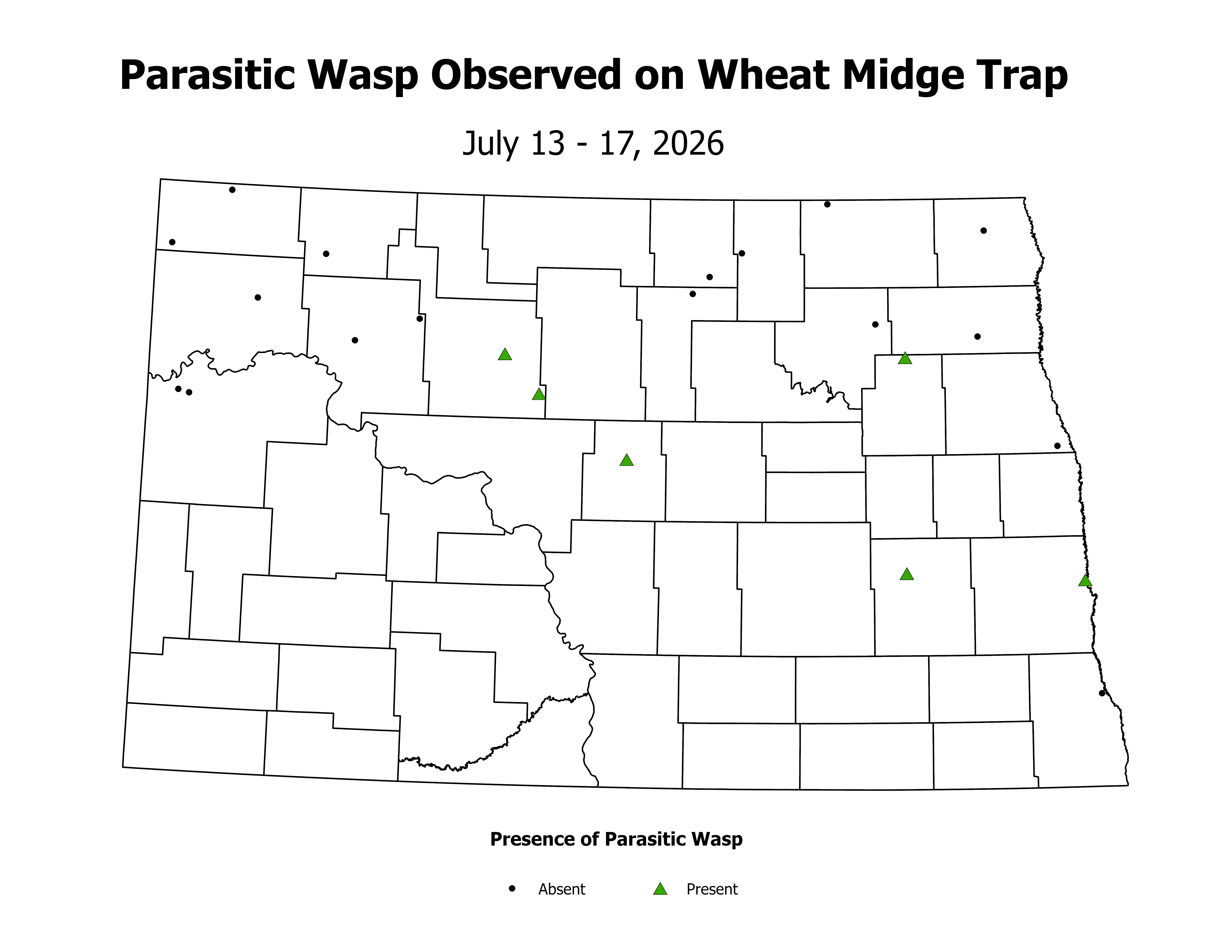 wheatInsectTrap_PARA_PRES_2026July13ToJuly17
