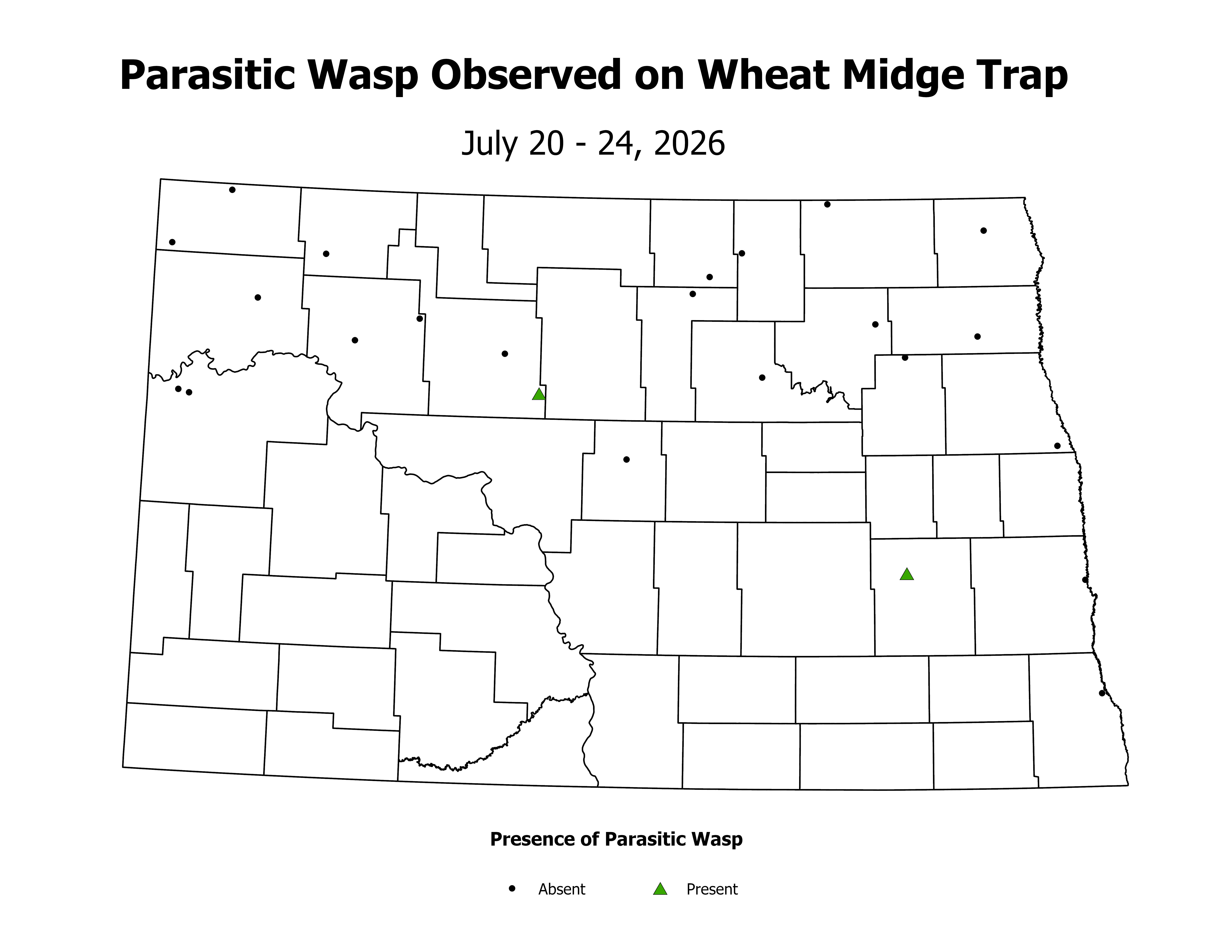 wheatInsectTrap_PARA_PRES_2026July20ToJuly24