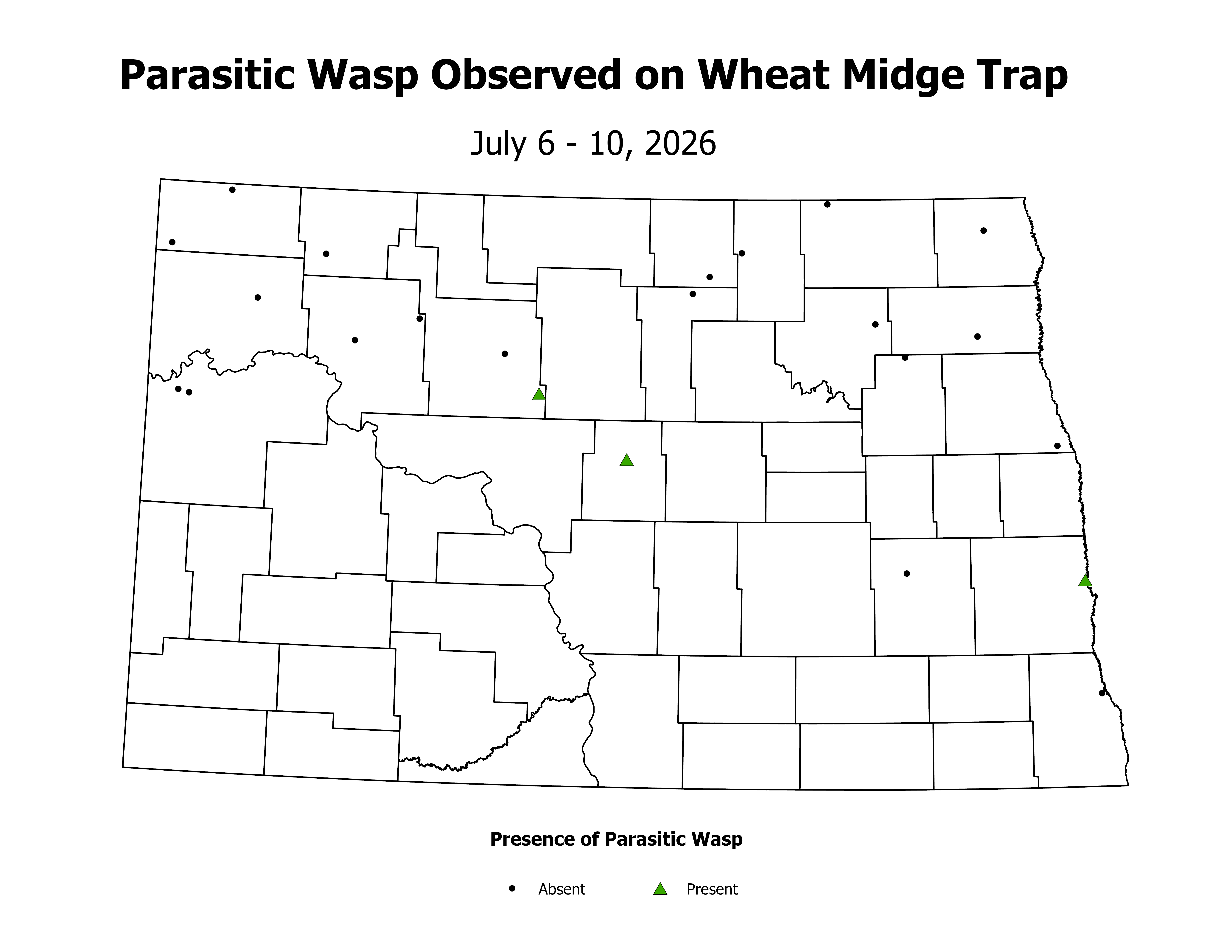 wheatInsectTrap_PARA_PRES_2026July6ToJuly10