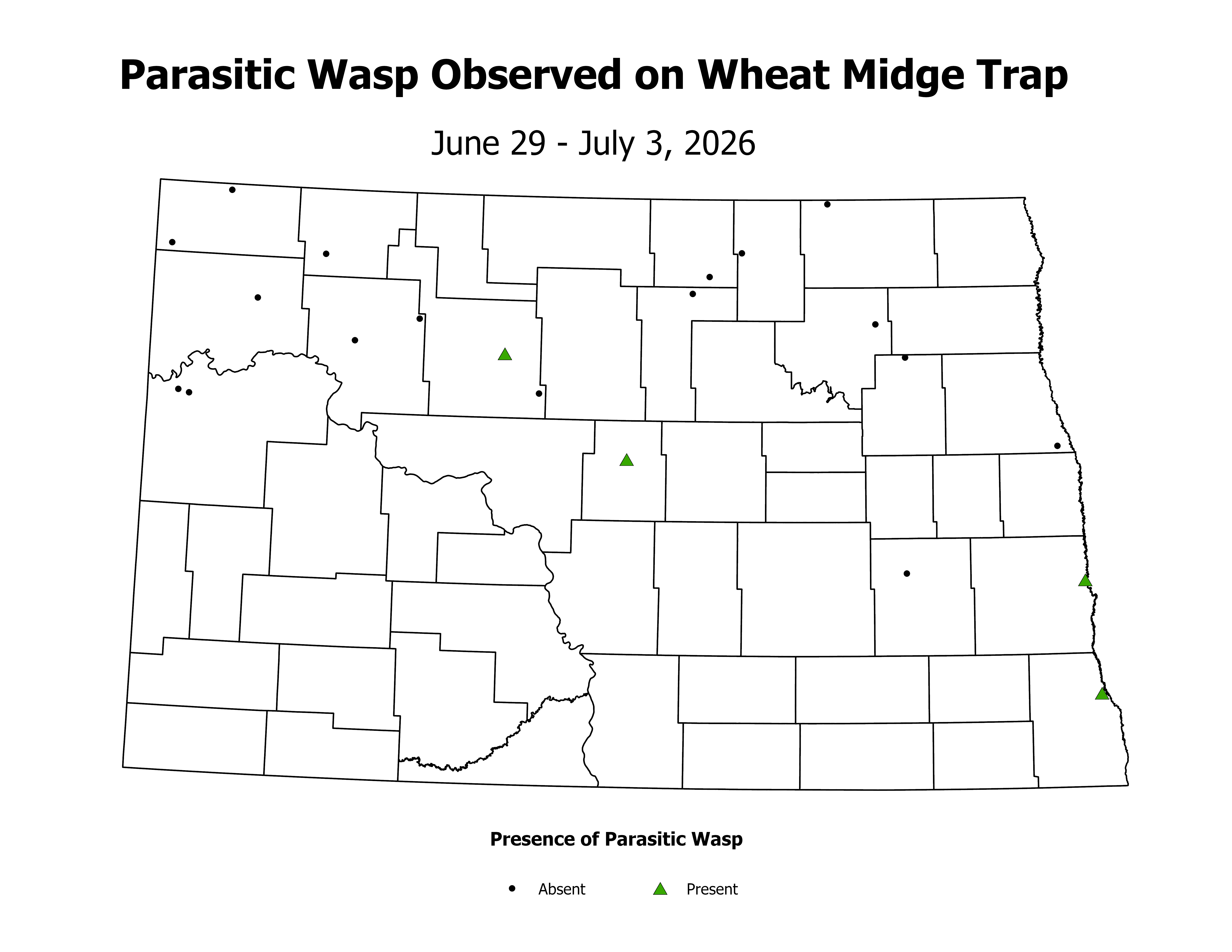 wheatInsectTrap_PARA_PRES_2026June29ToJuly3