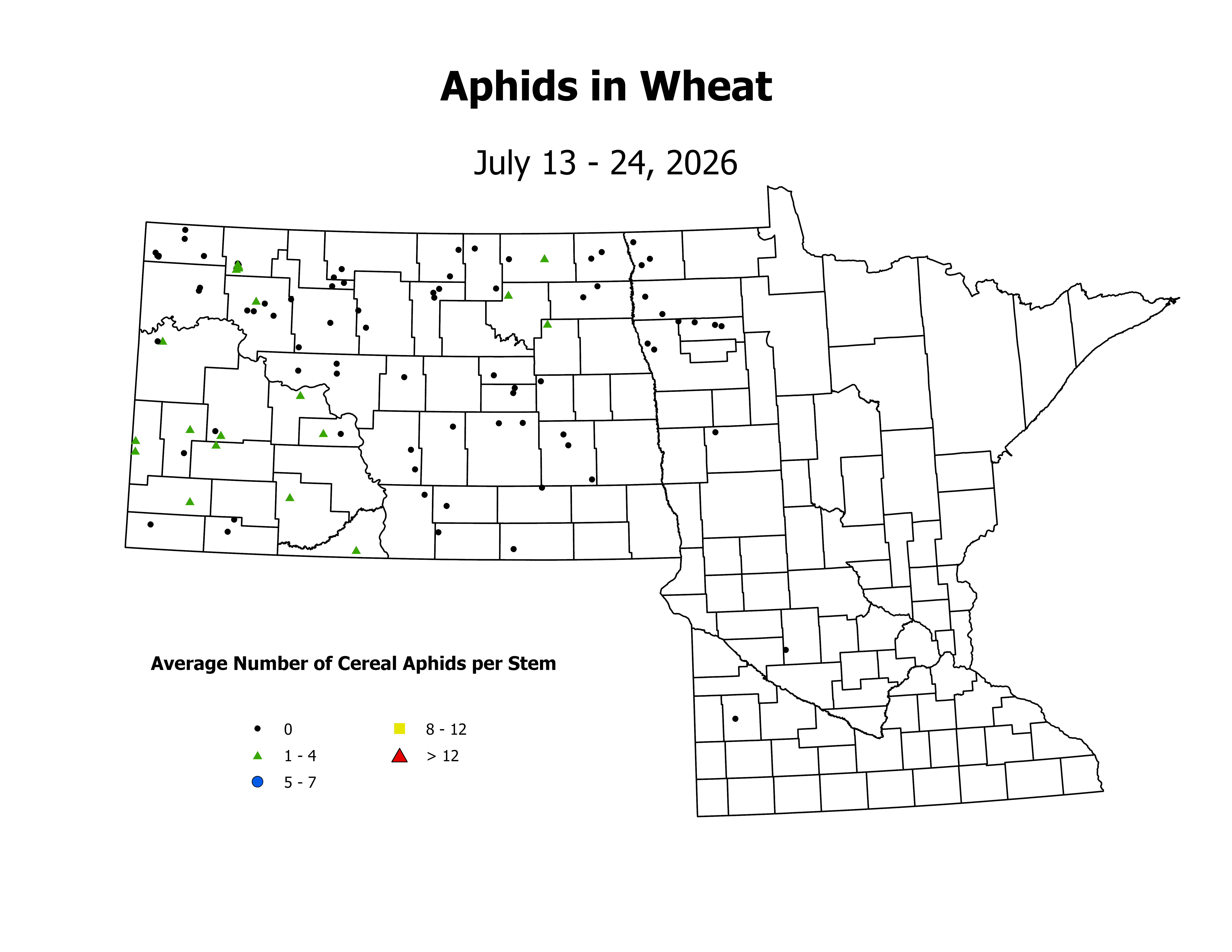 wheat_Aph_Stem_2026July13ToJuly24