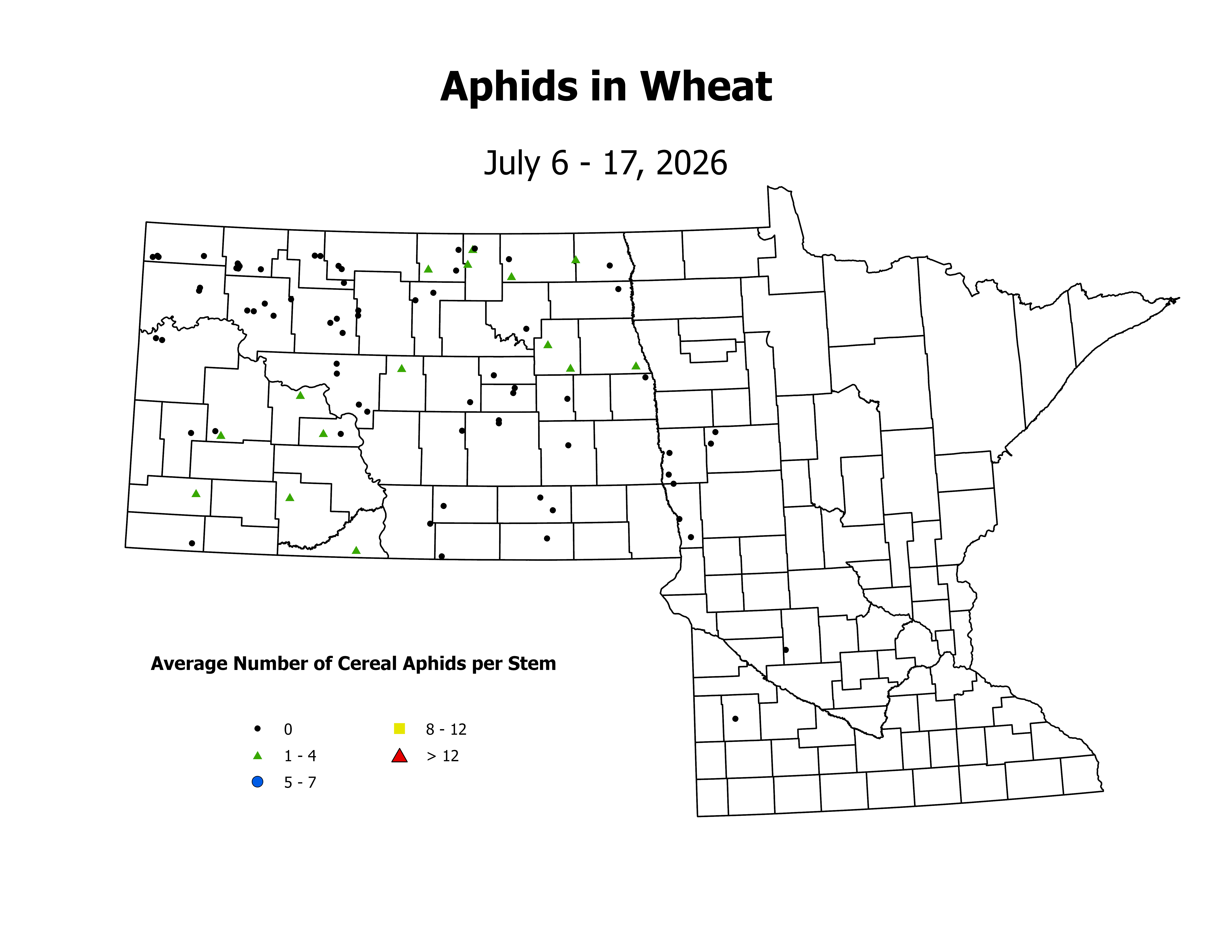 wheat_Aph_Stem_2026July6ToJuly17