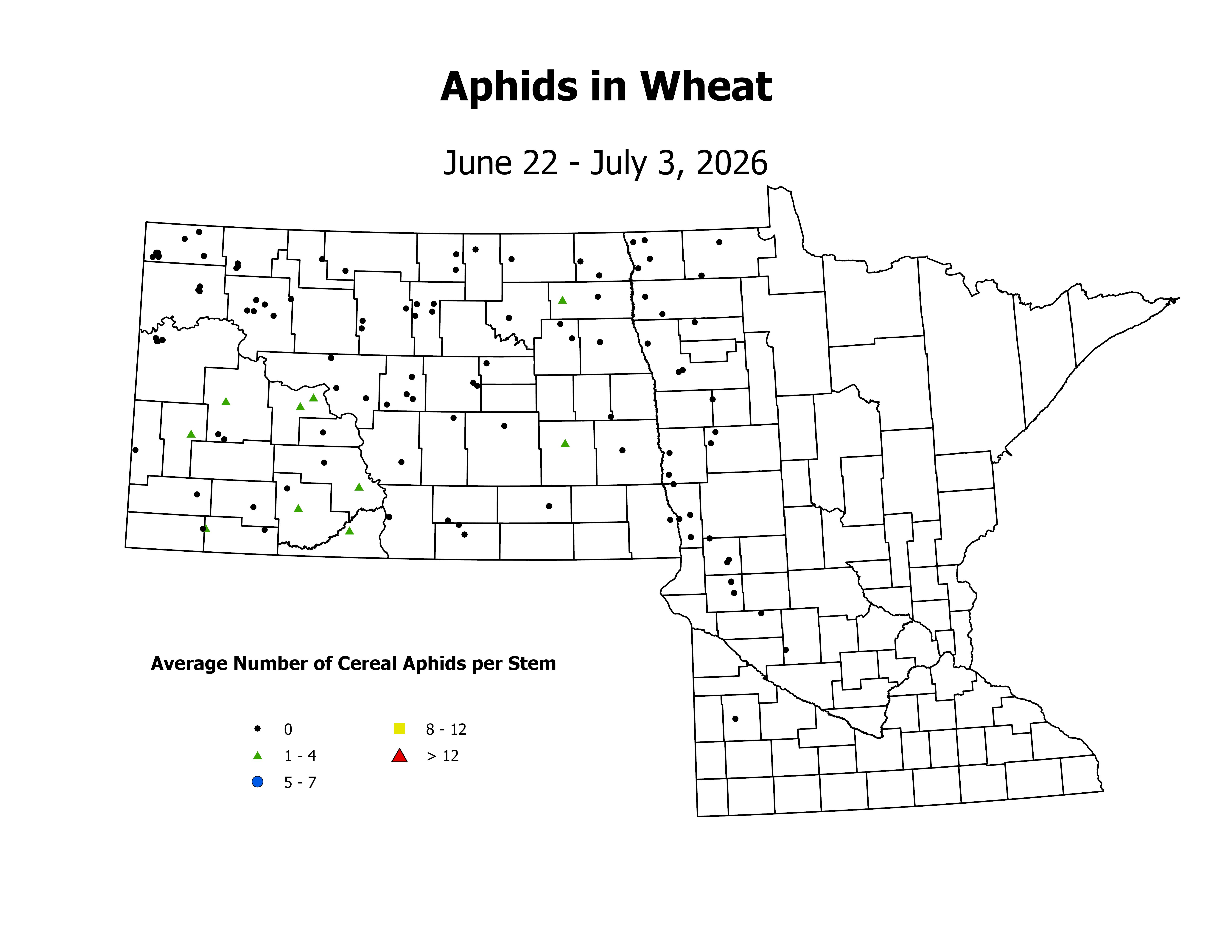 wheat_Aph_Stem_2026June22ToJuly3
