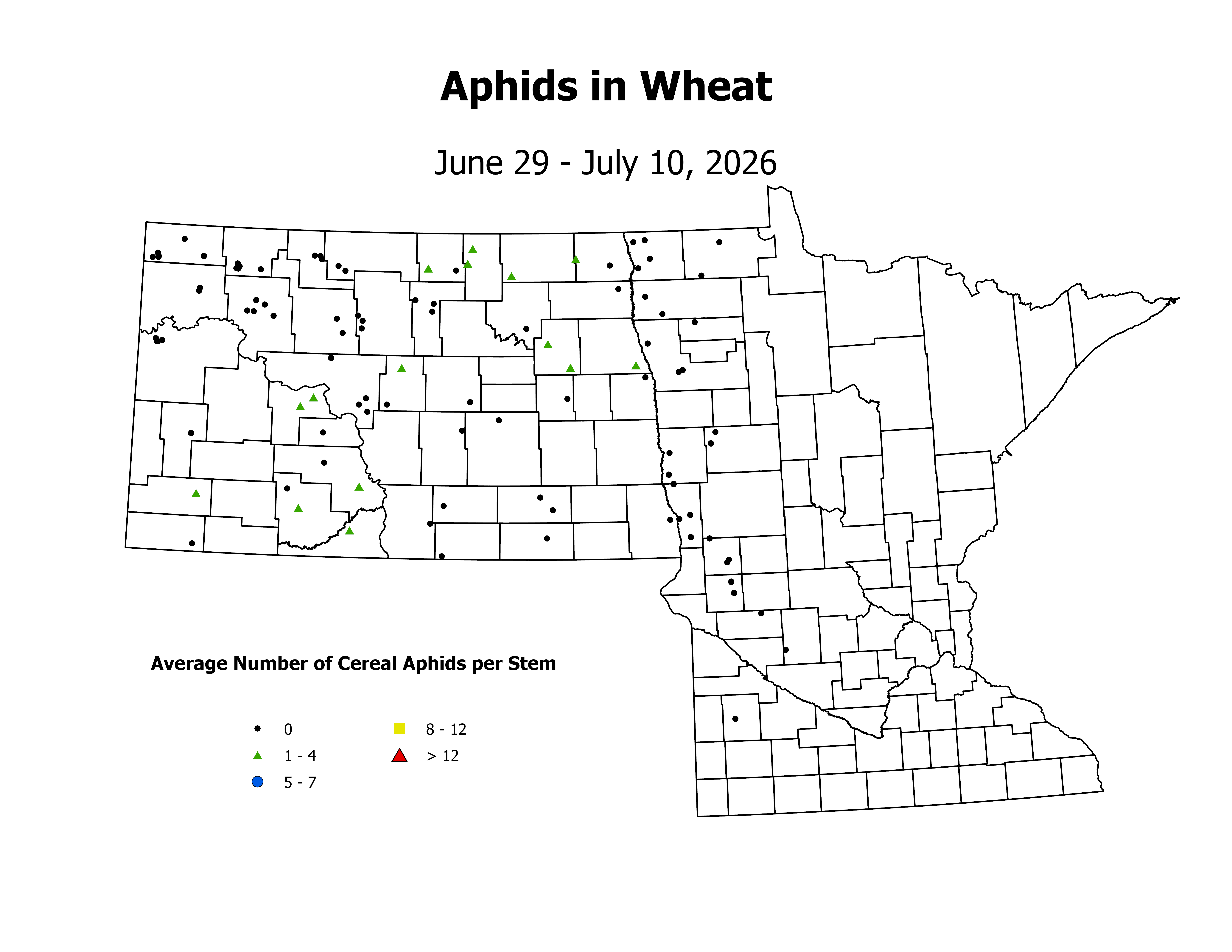wheat_Aph_Stem_2026June29ToJuly10