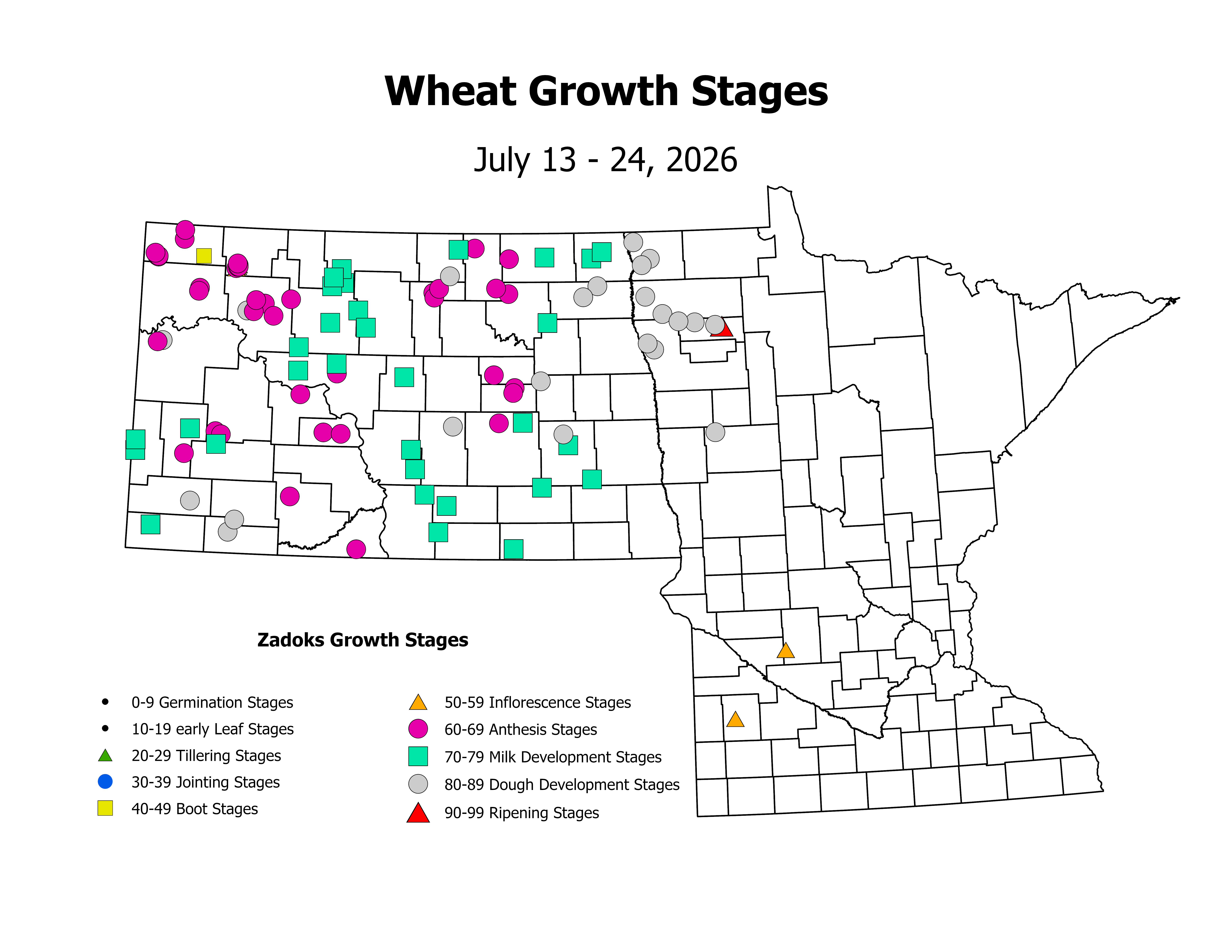 wheat_CropStage_2026July13ToJuly24