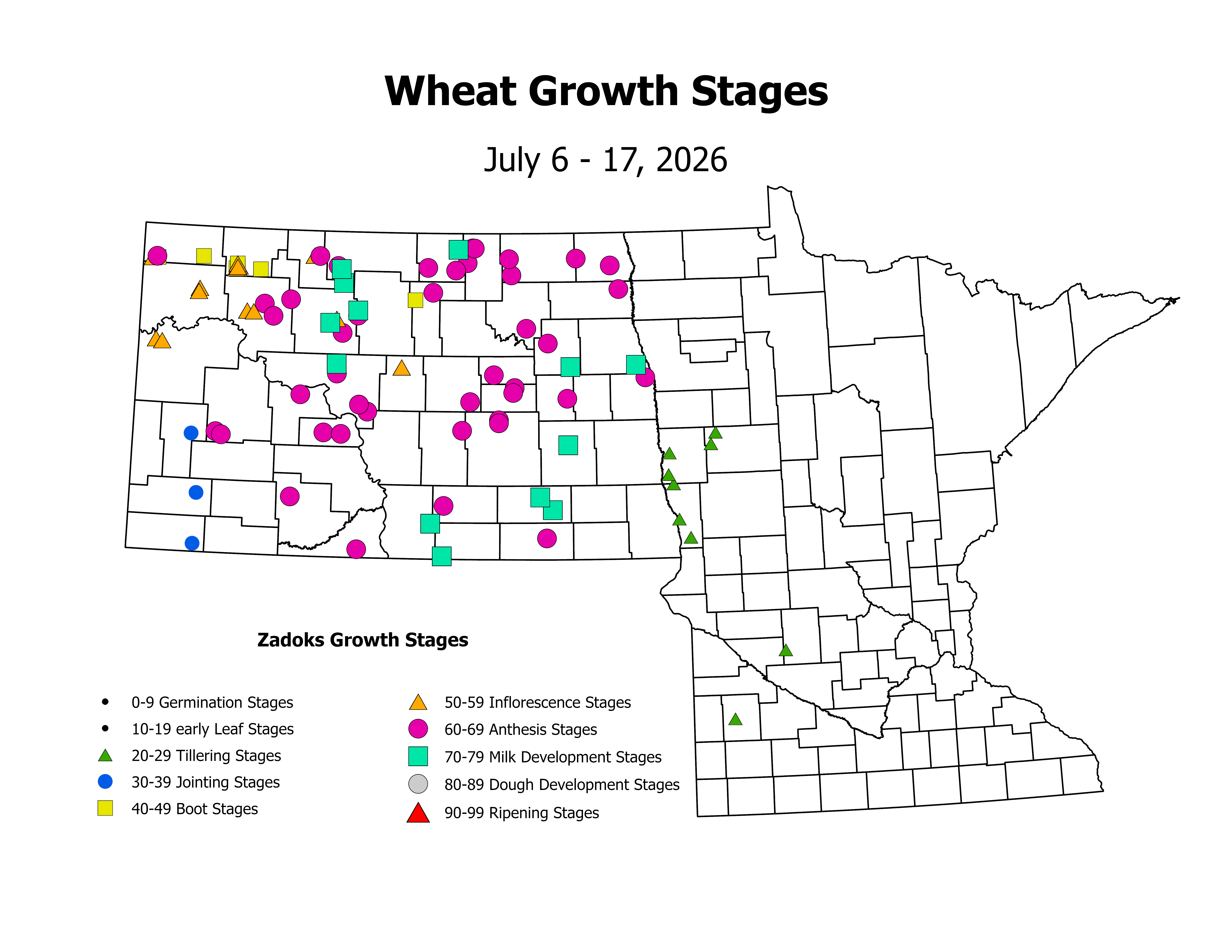 wheat_CropStage_2026July6ToJuly17