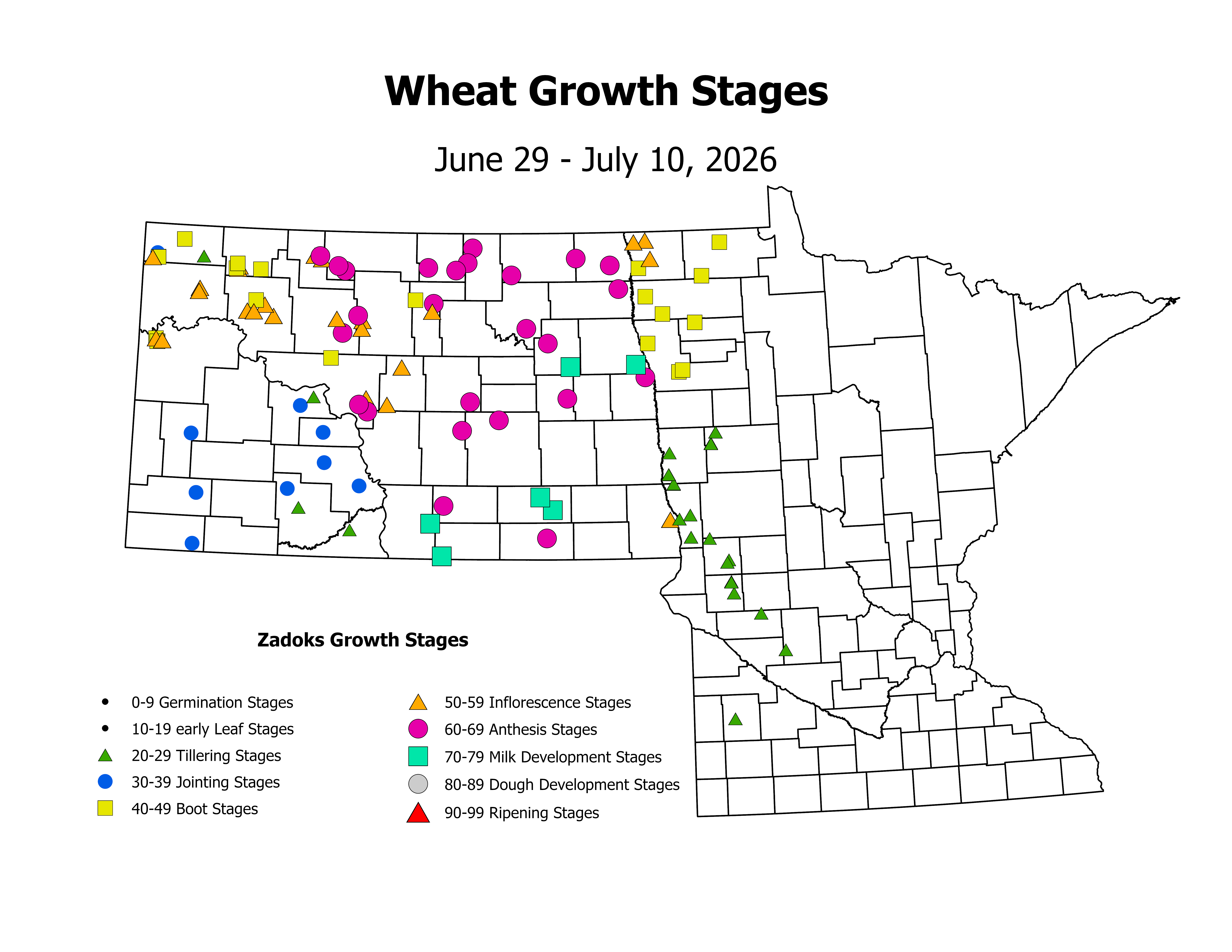 wheat_CropStage_2026June29ToJuly10