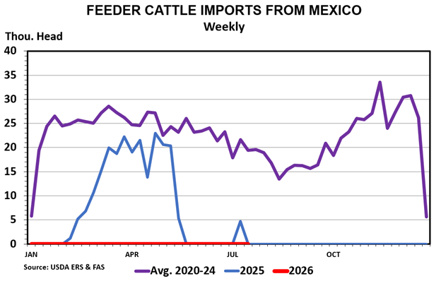 Feeder Cattle Imports from Mexico — Weekly July 2026