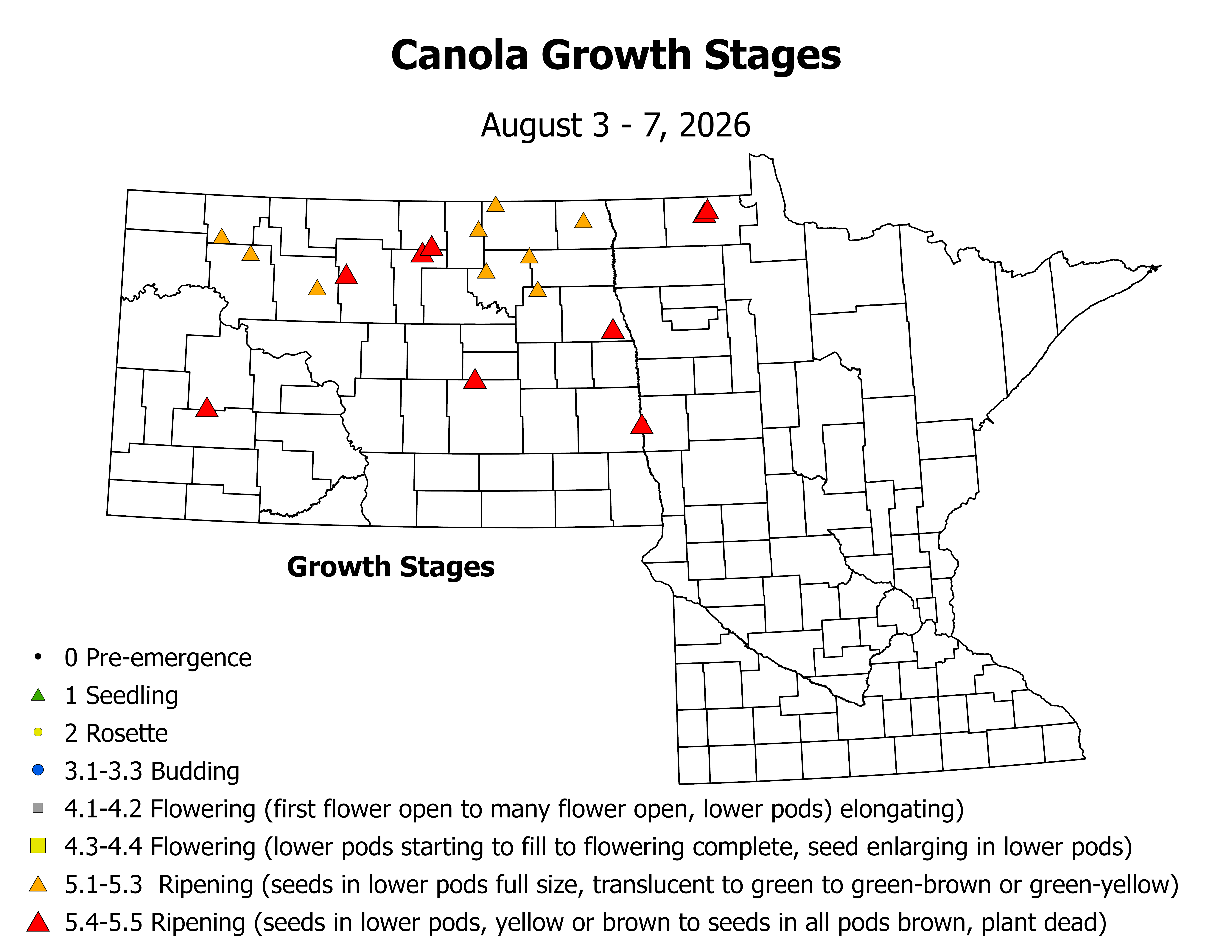 canolaInsectTrap_CropStage_2026August3ToAugust7.png