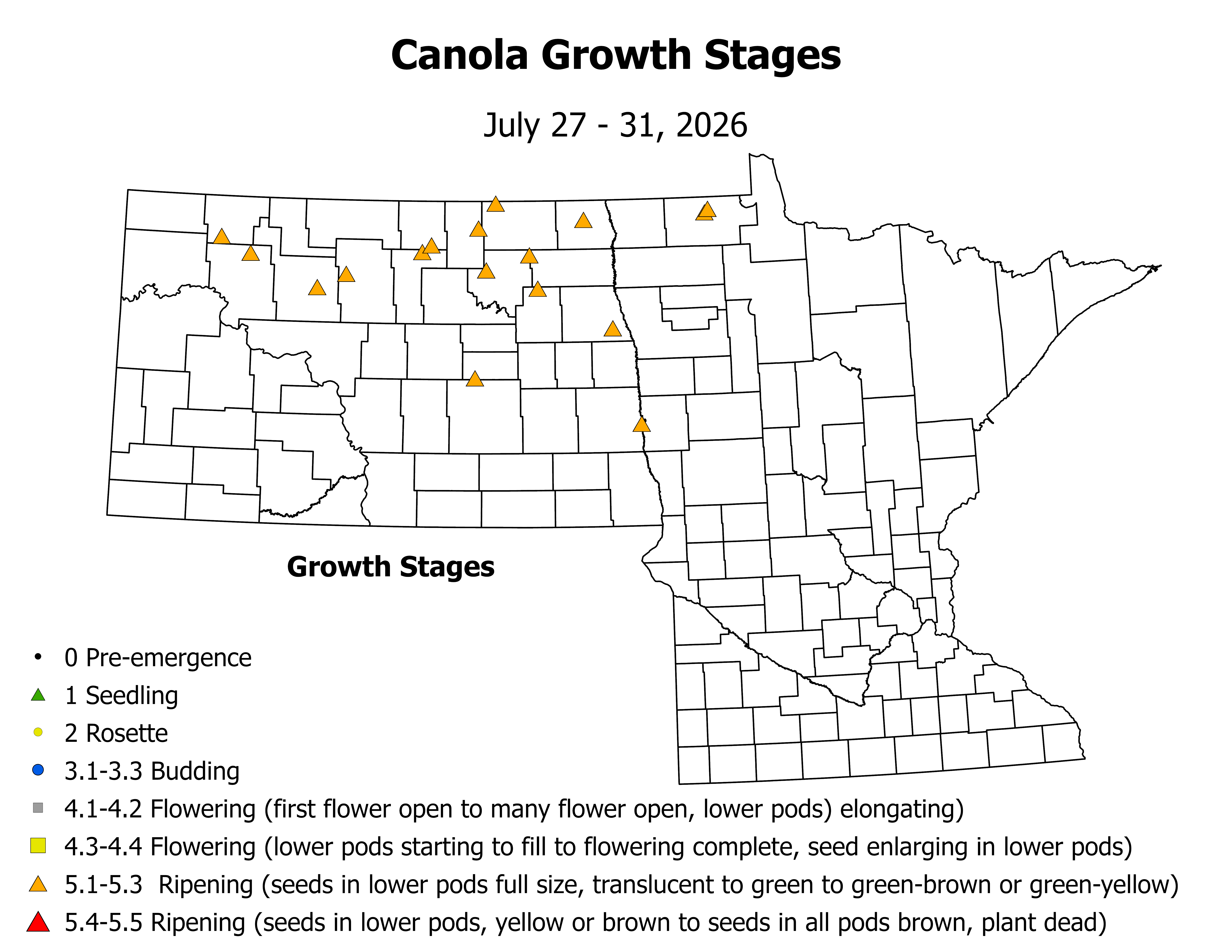 canolaInsectTrap_CropStage_2026July27ToJuly31.png