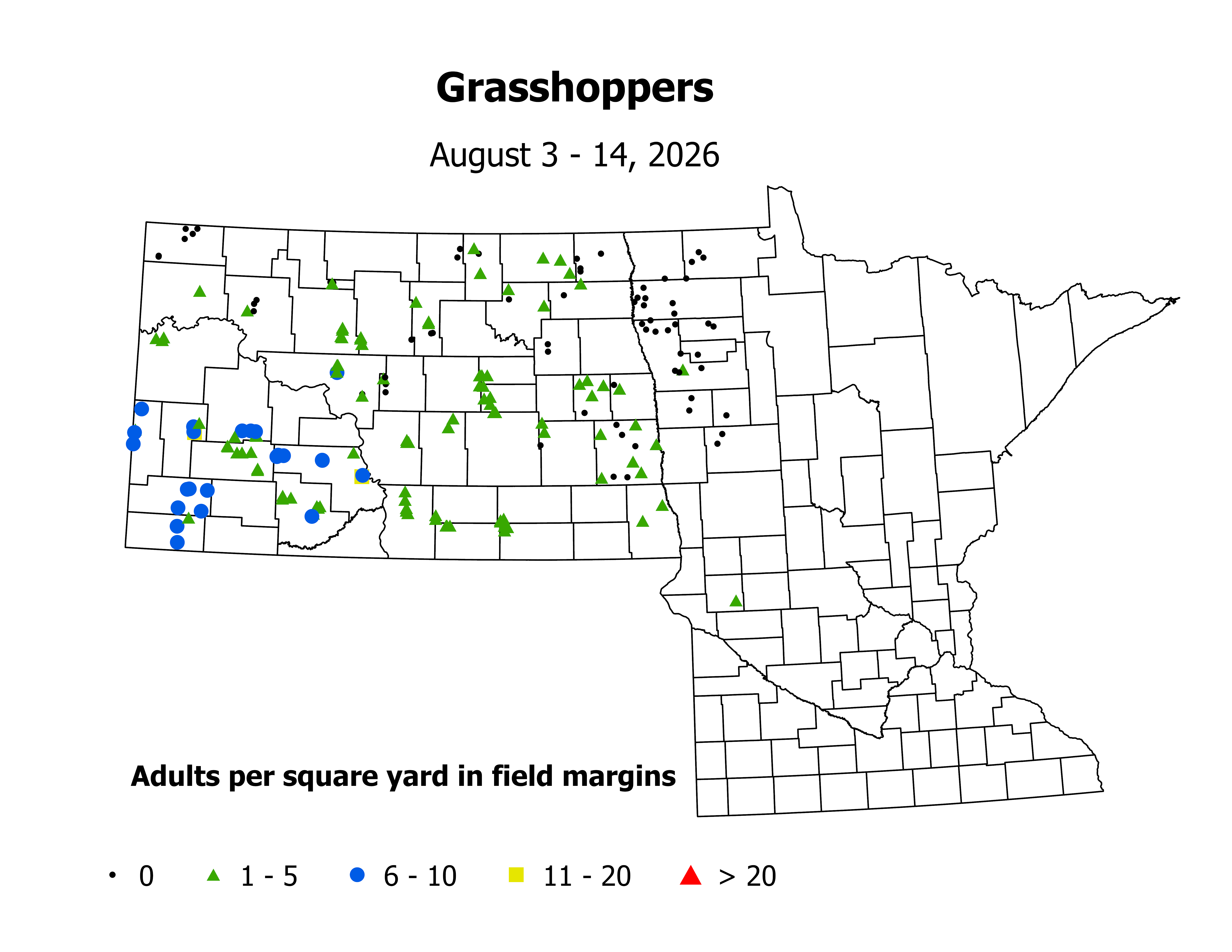 grasshopper_Adult_sqyd_2026August3ToAugust14.png