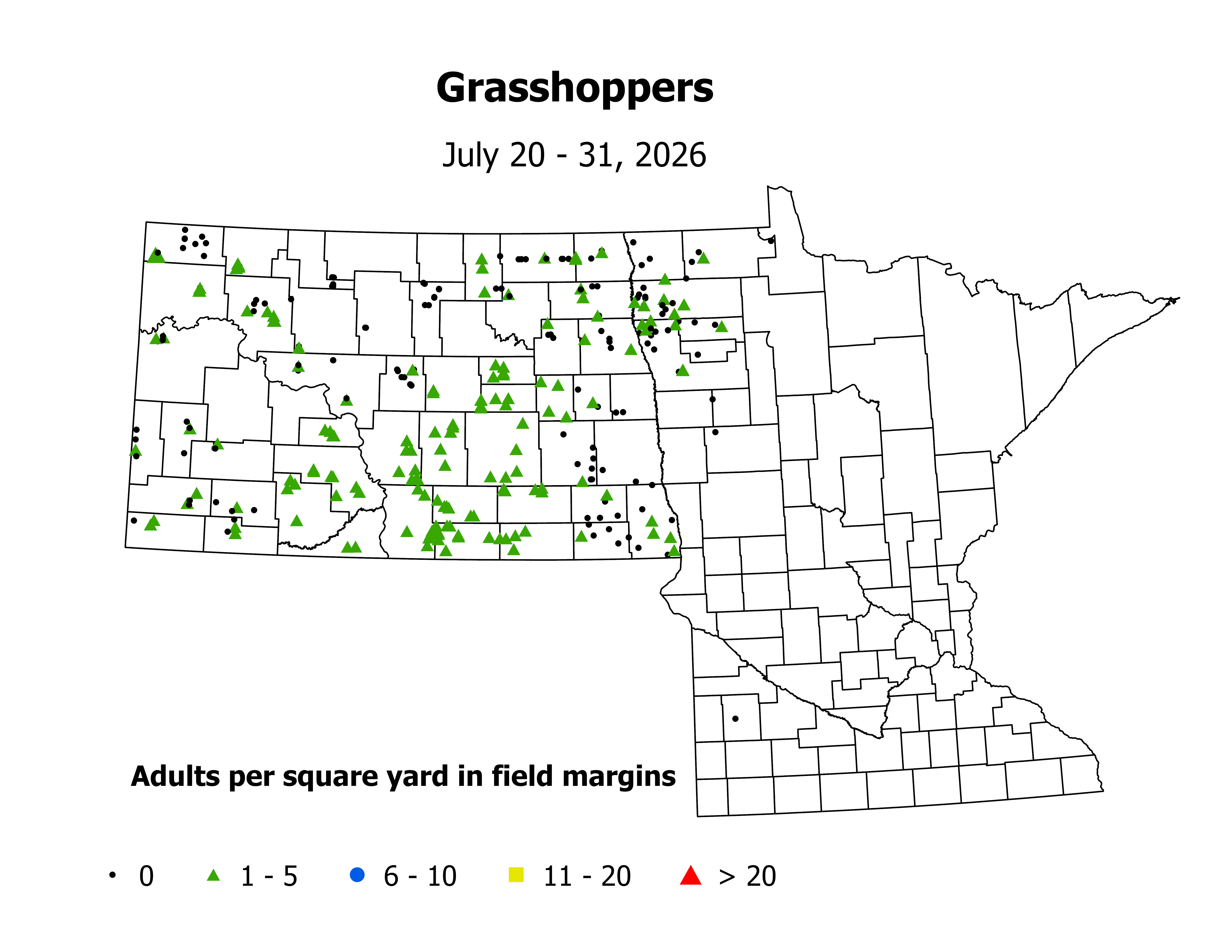 grasshopper_Adult_sqyd_2026July20ToJuly31.png