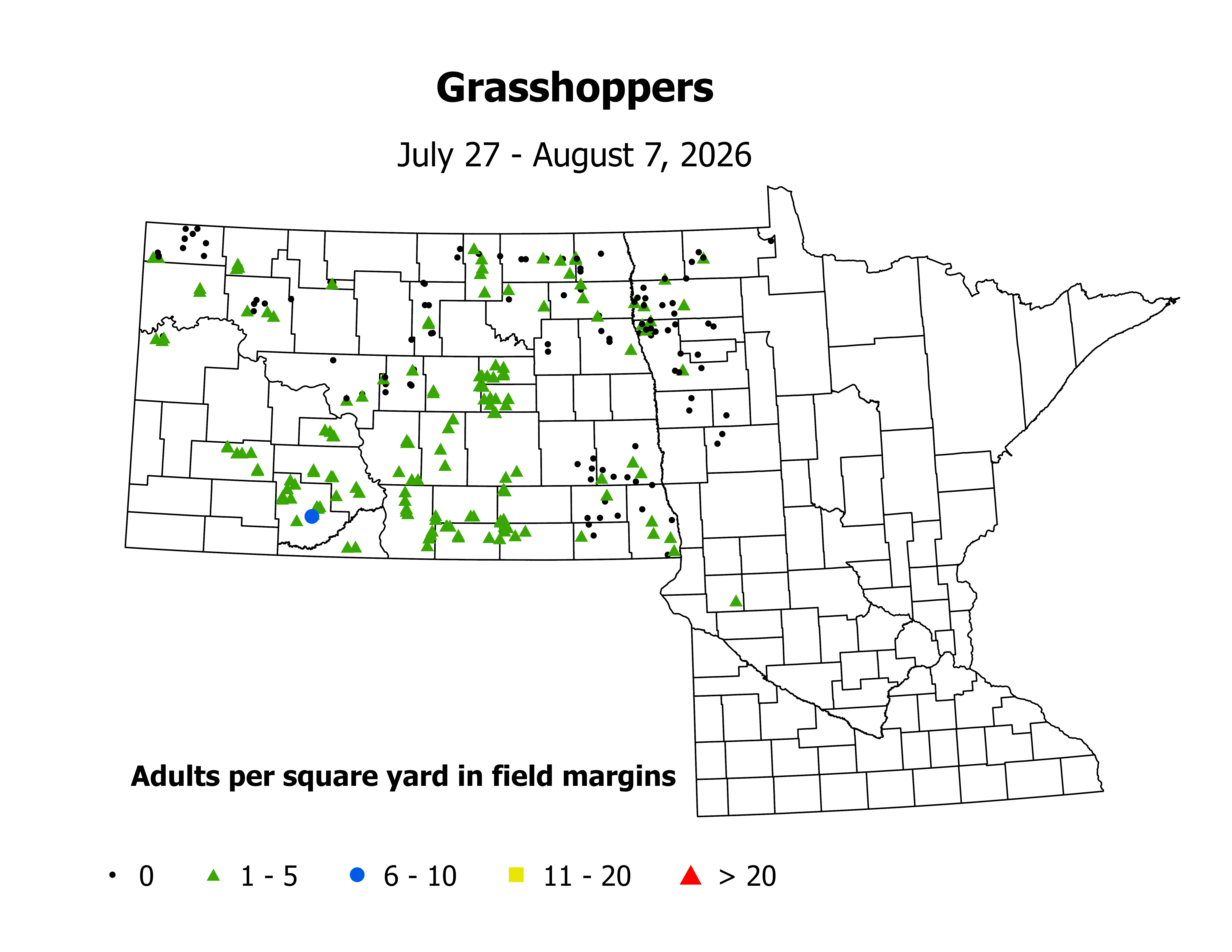 grasshopper_Adult_sqyd_2026July27ToAugust7.png