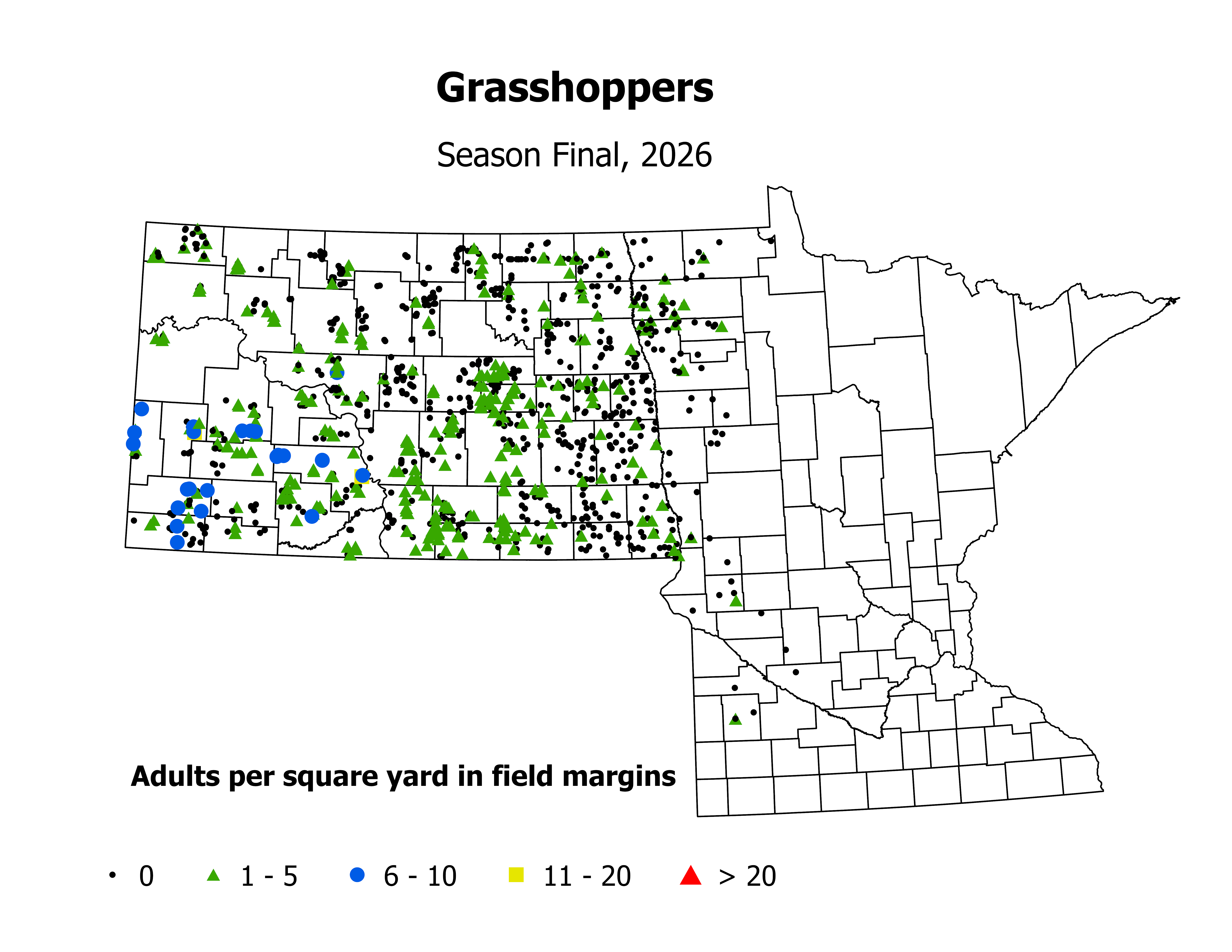 grasshopper_Adult_sqyd_2026SeasonFinal.png