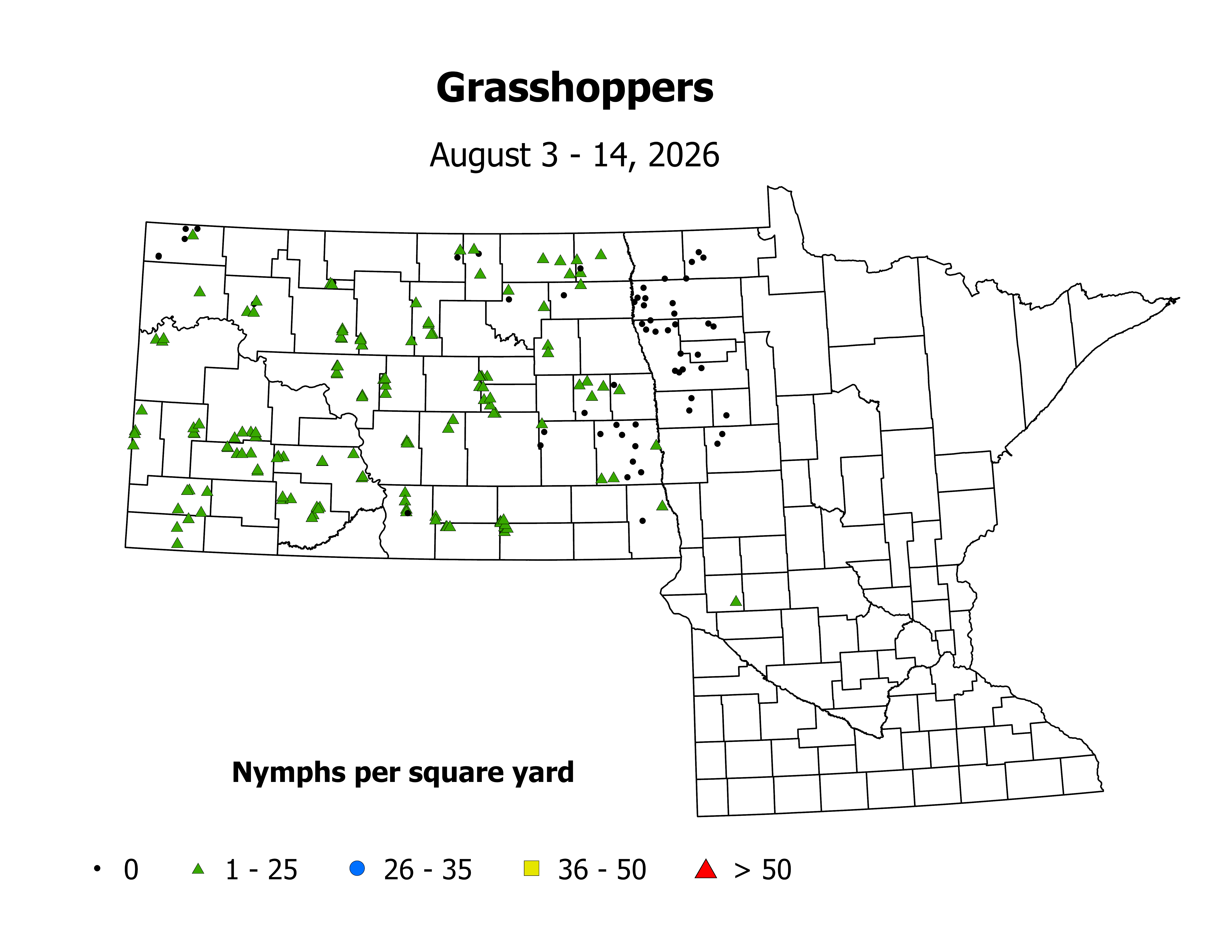grasshopper_Nymph_sqyd_2026August3ToAugust14.png