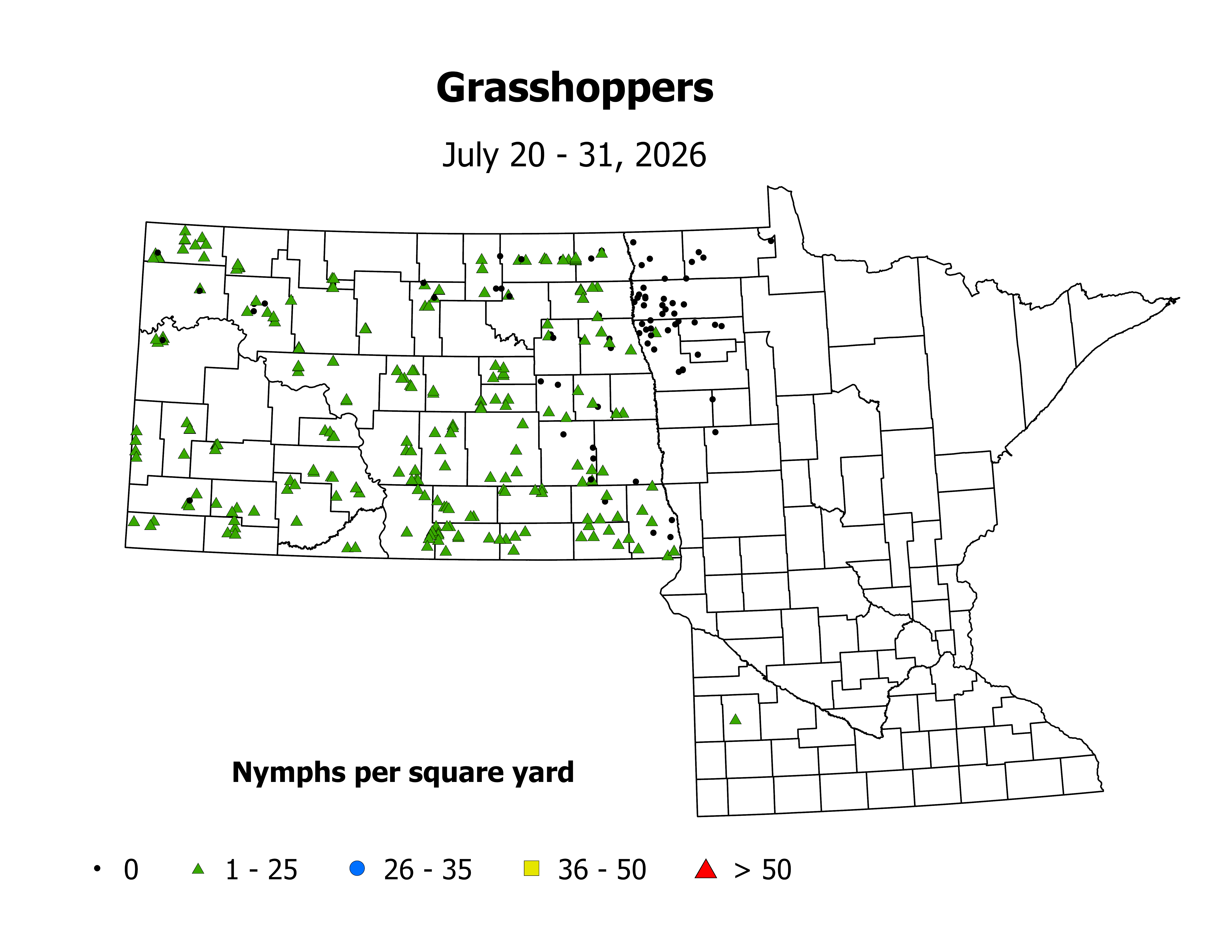 grasshopper_Nymph_sqyd_2026July20ToJuly31.png