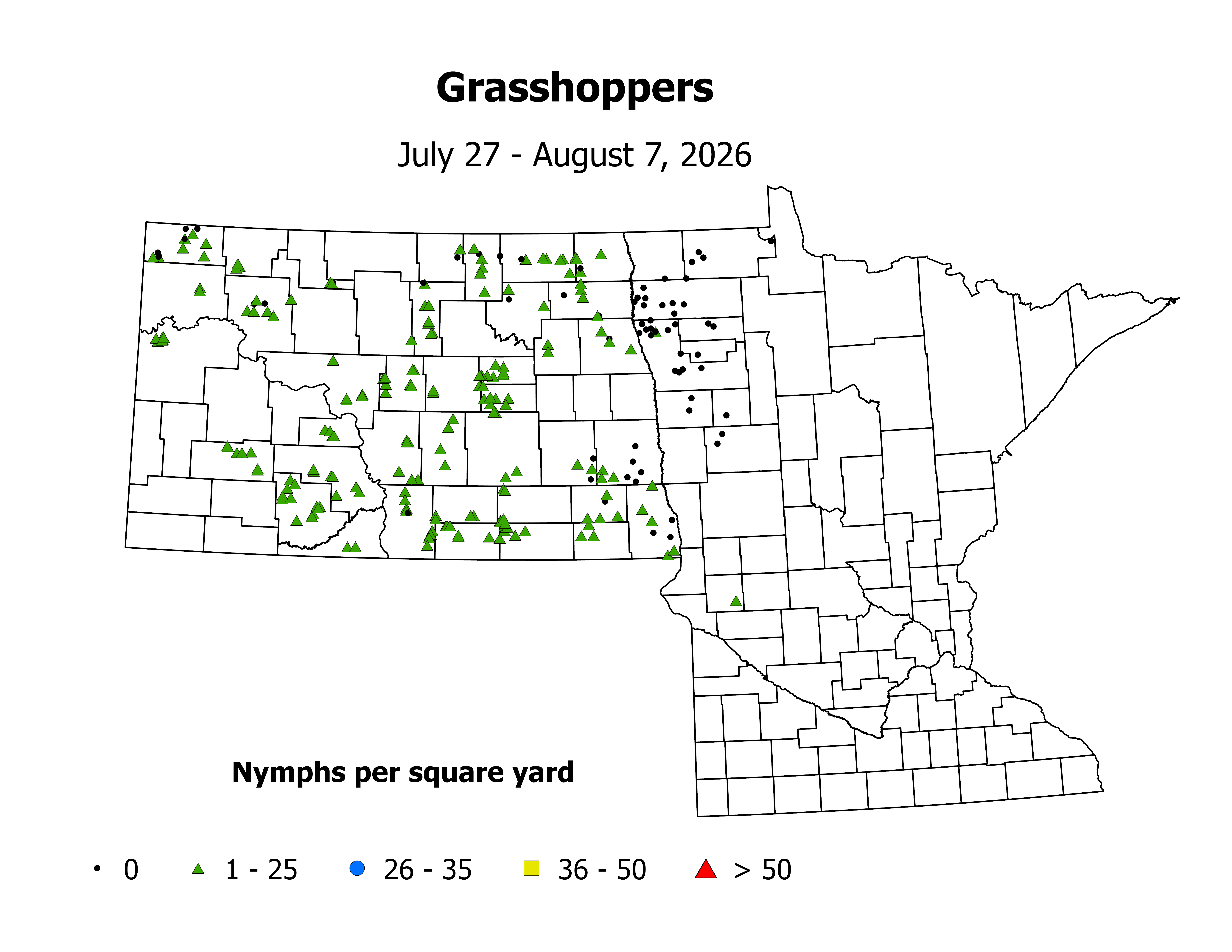 grasshopper_Nymph_sqyd_2026July27ToAugust7.png