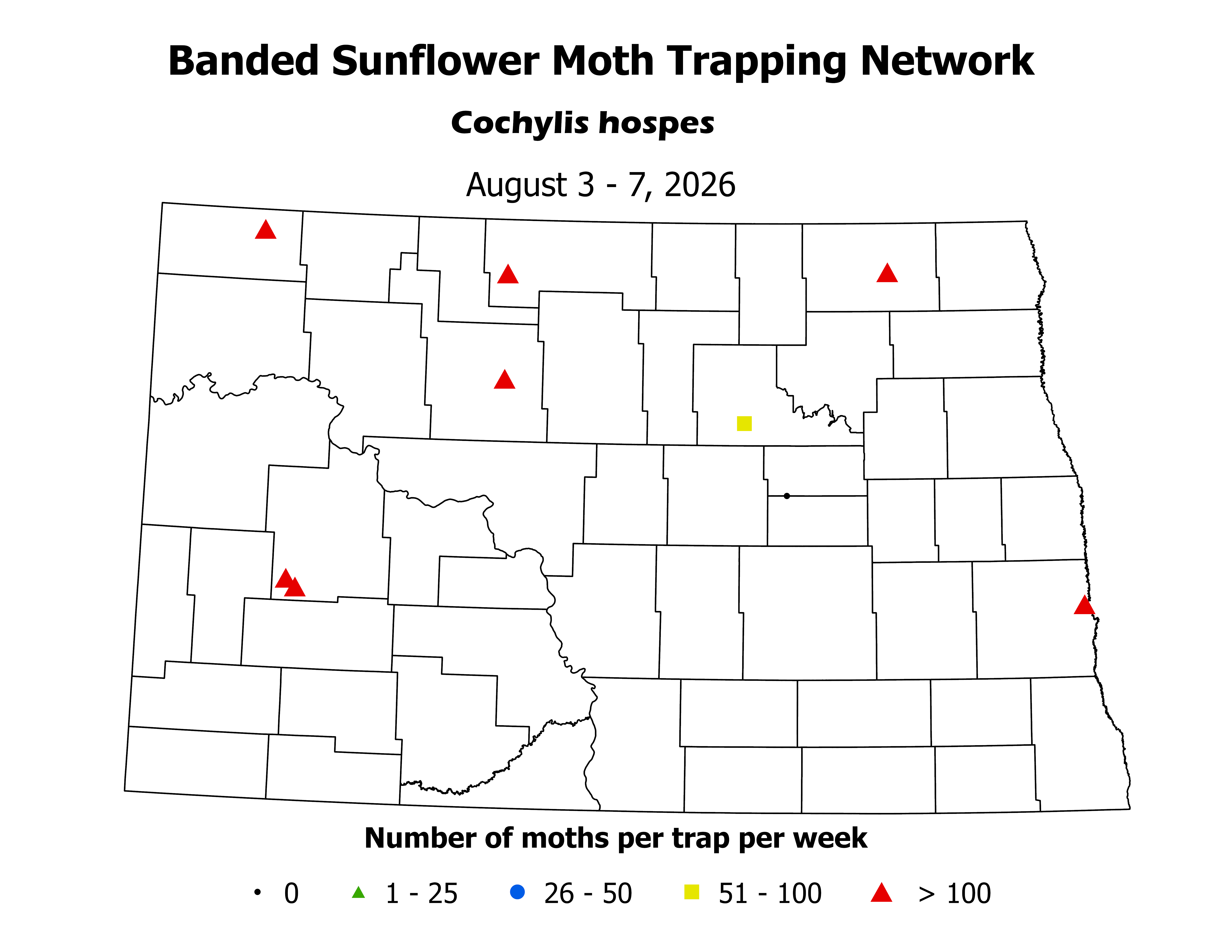 sunflowerInsectTrap_BSM_Count_2026August3ToAugust7.png