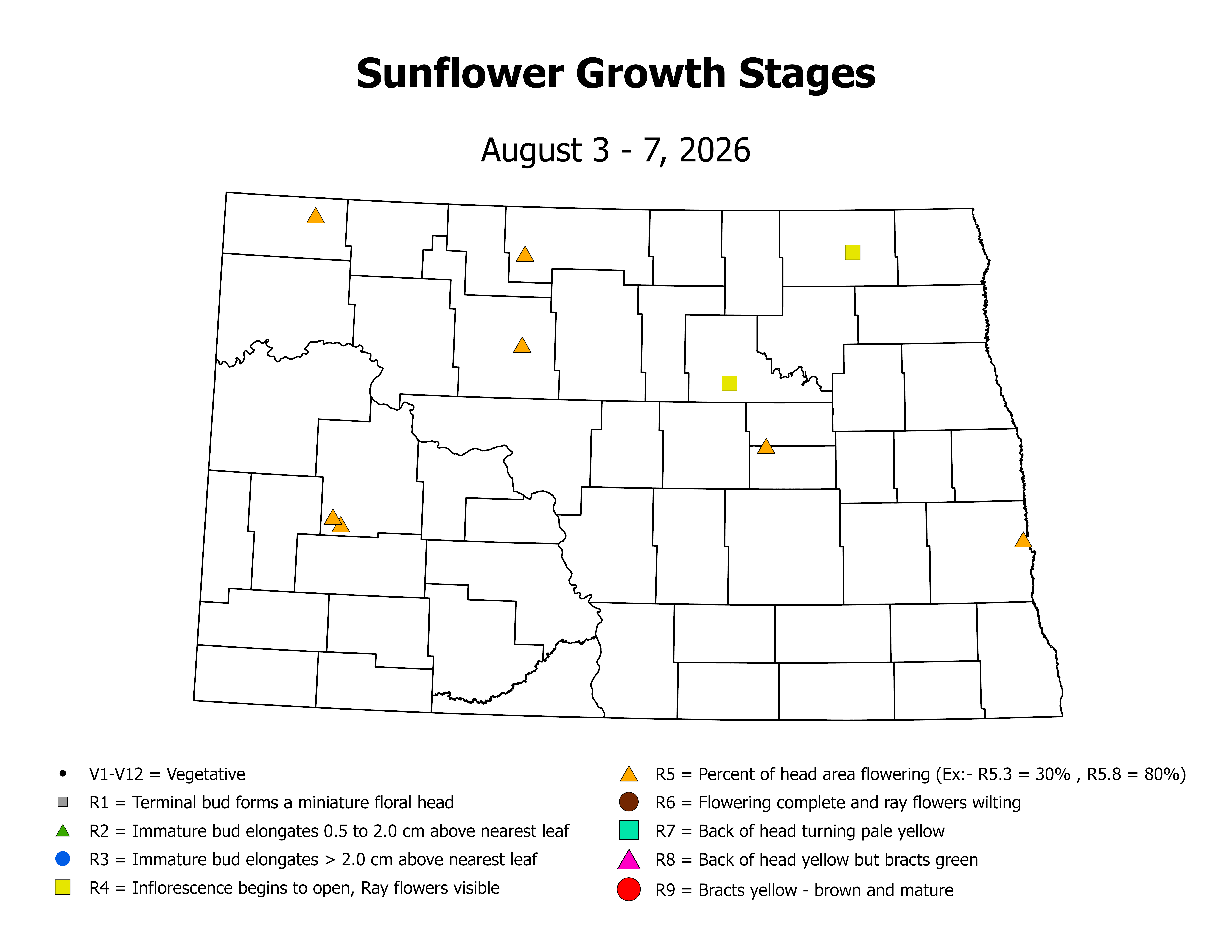 sunflowerInsectTrap_CropStage_2026August3ToAugust7.png