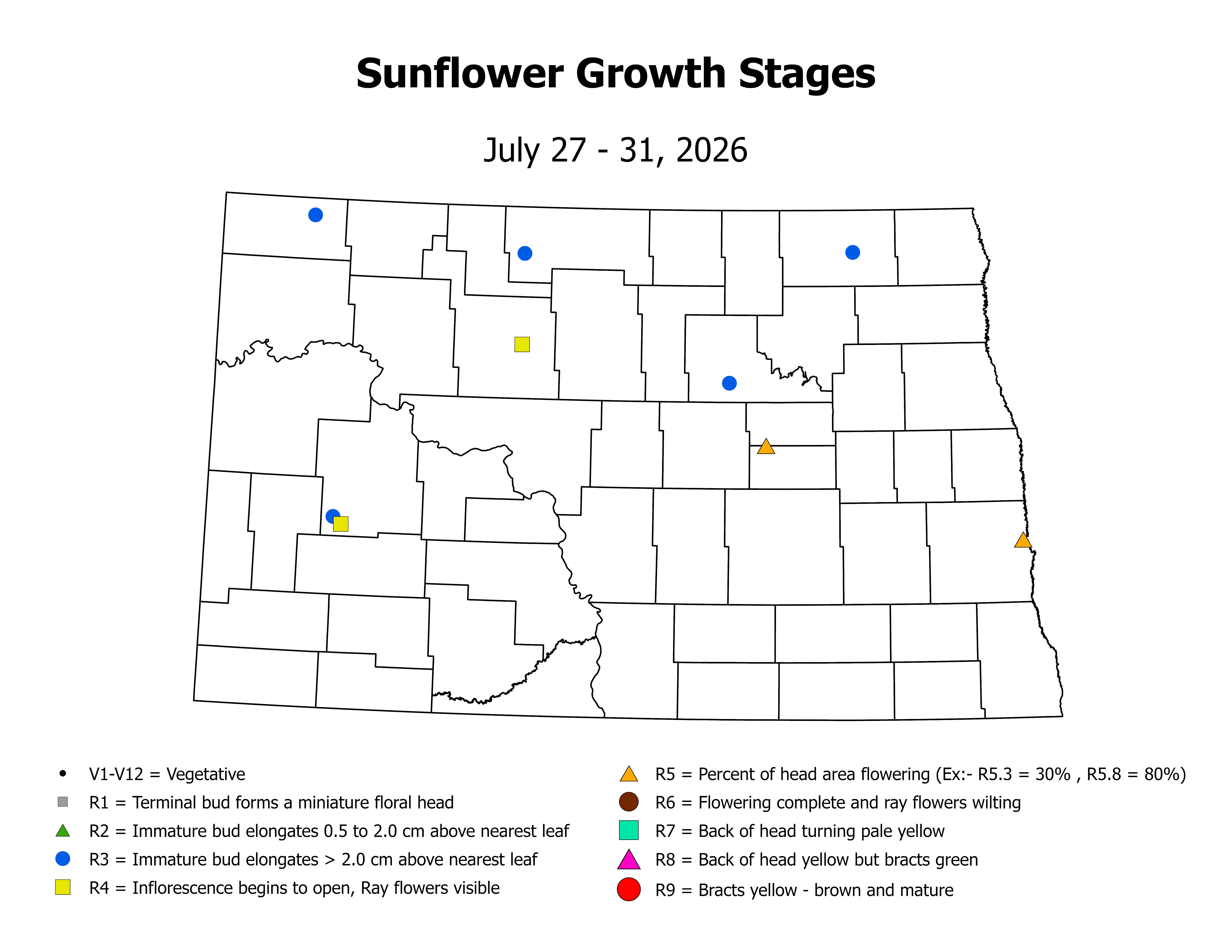 sunflowerInsectTrap_CropStage_2026July27ToJuly31.png