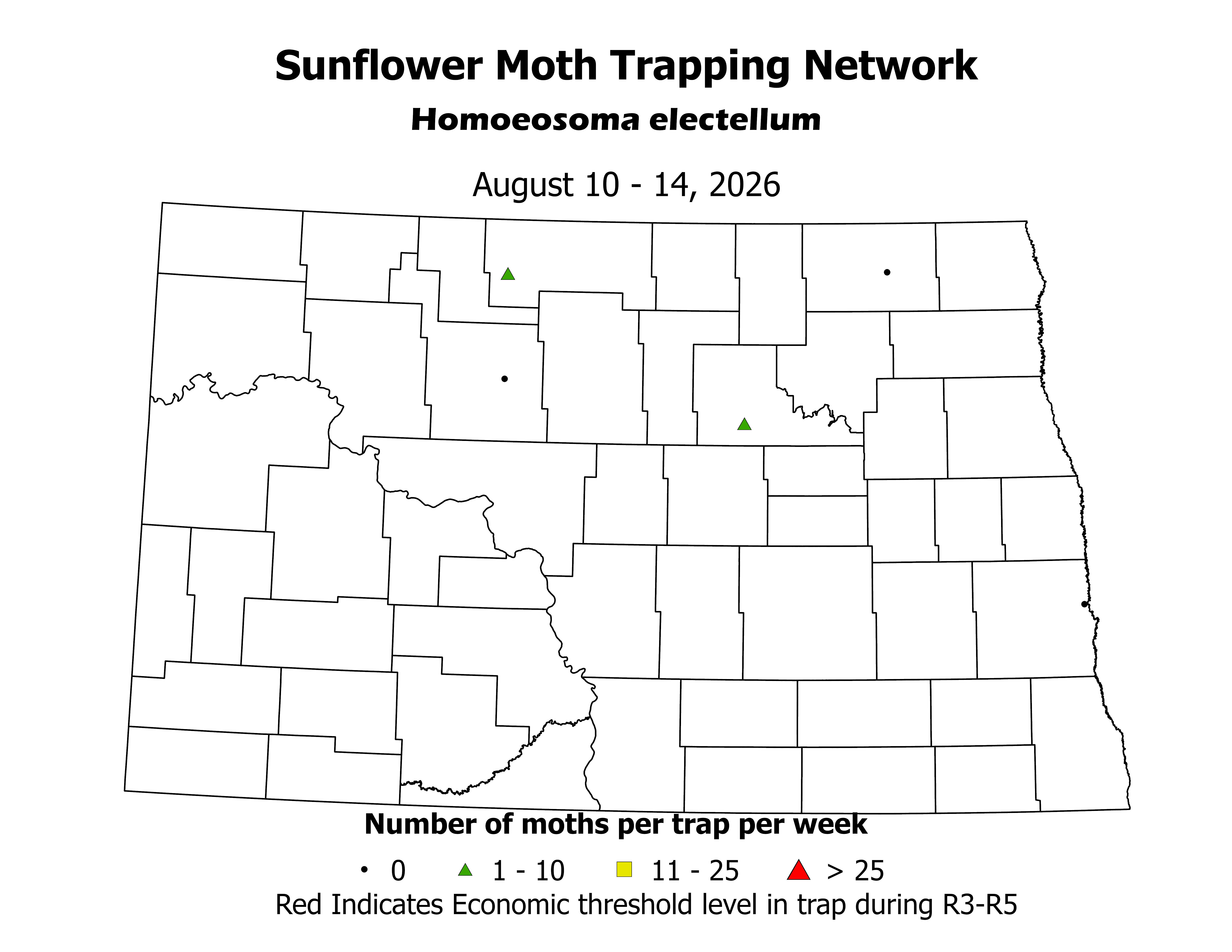 sunflowerInsectTrap_SHM_Count_2026August10ToAugust14.png