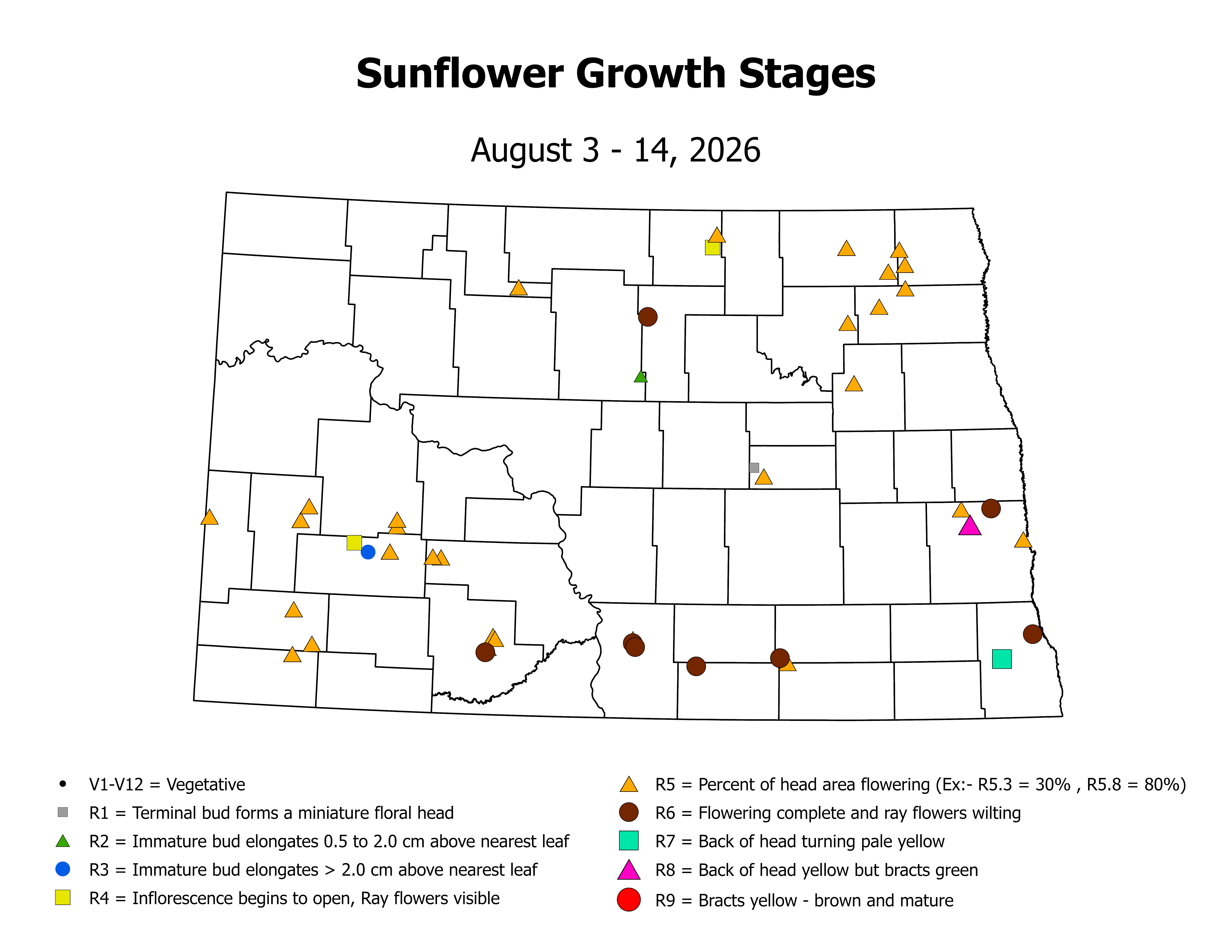 sunflower_CropStage_2026August3ToAugust14.png