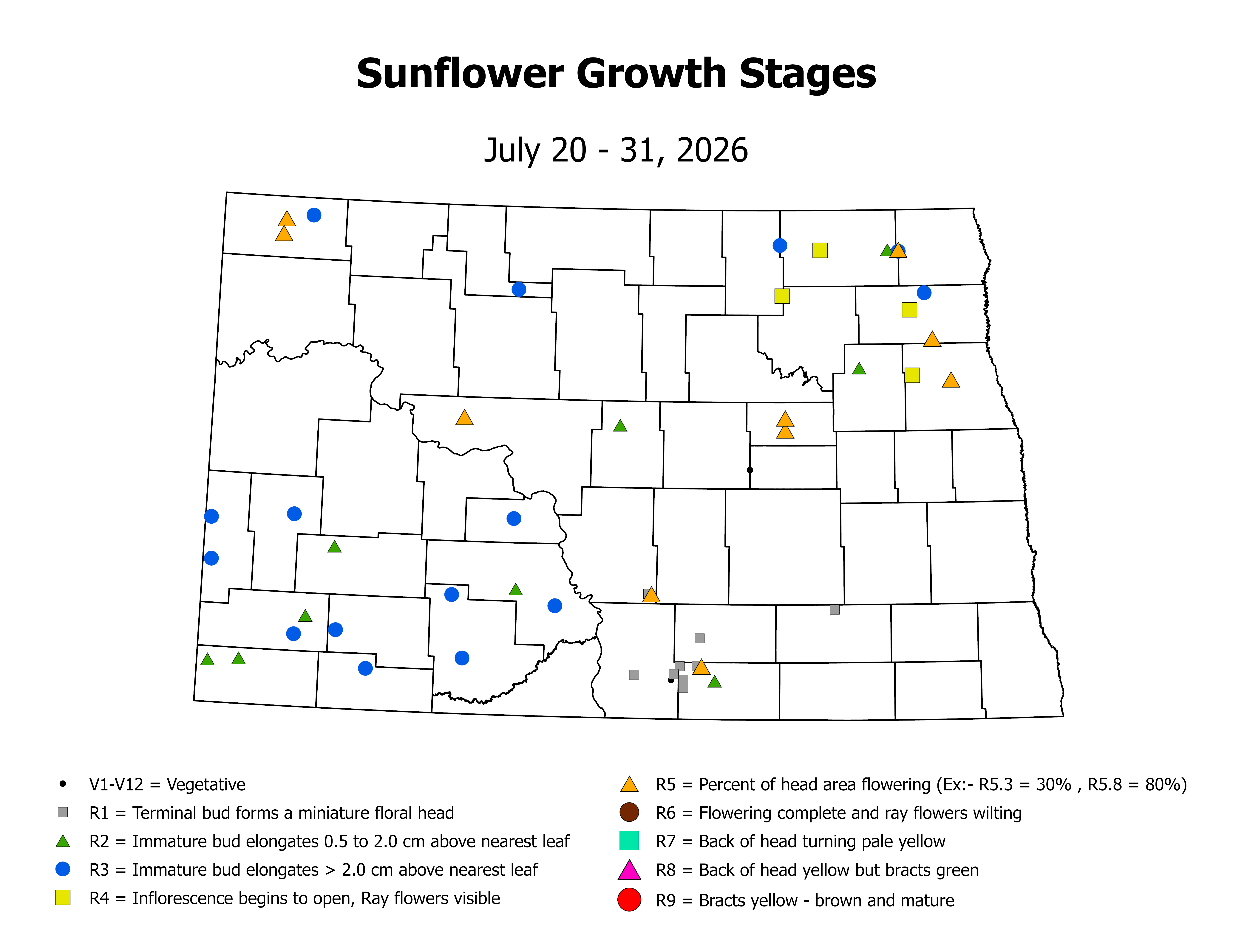 sunflower_CropStage_2026July20ToJuly31.png