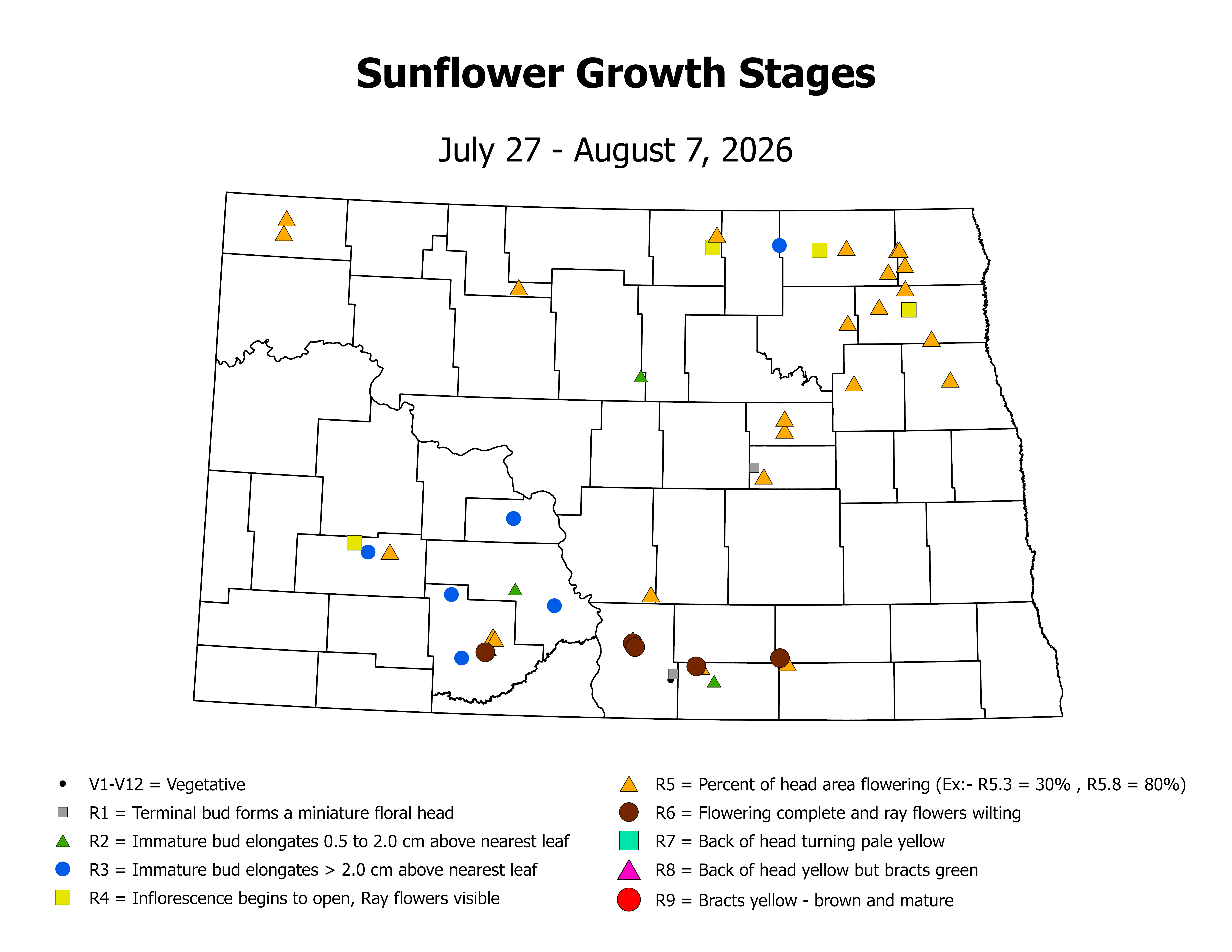 sunflower_CropStage_2026July27ToAugust7.png