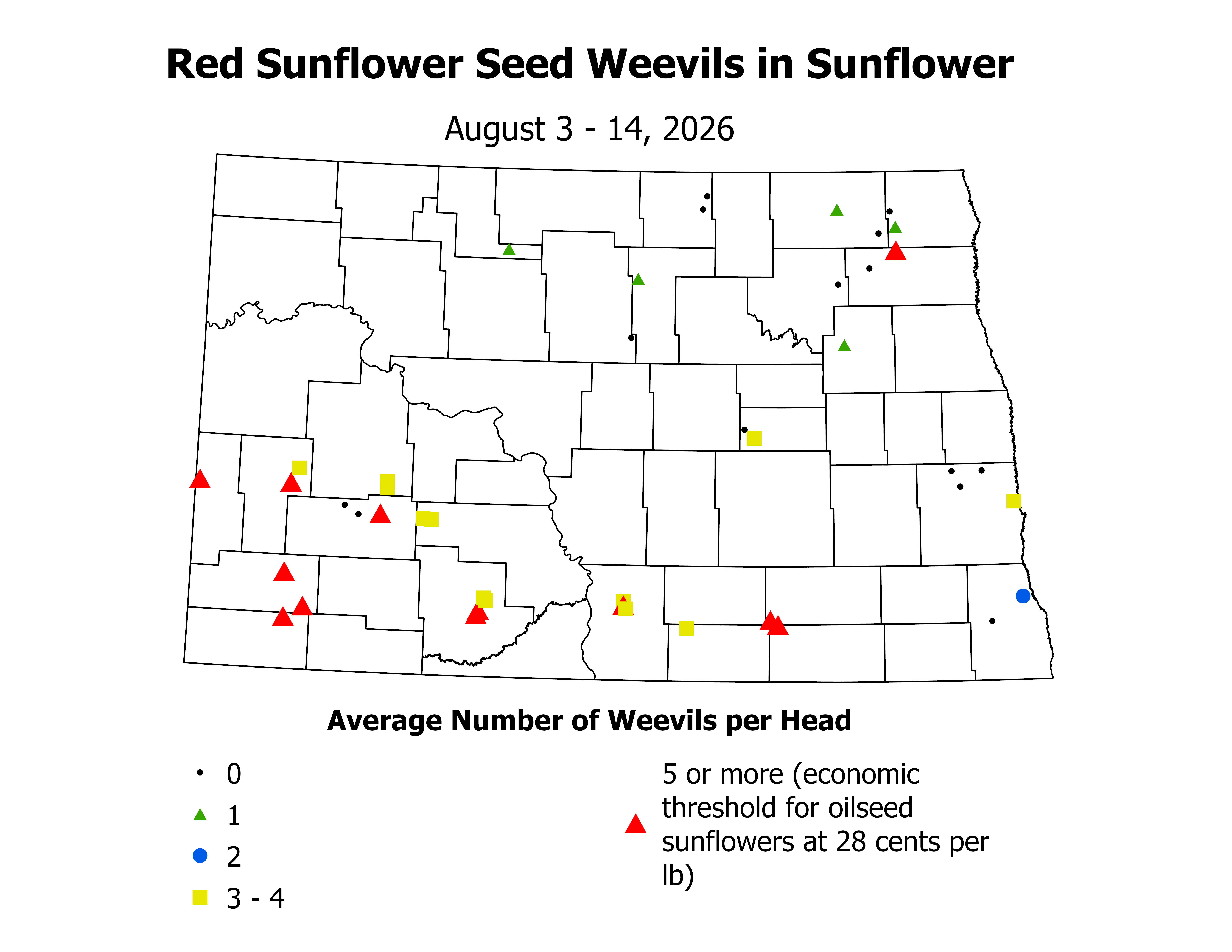 sunflower_RSSW_Head_2026August3ToAugust14.png
