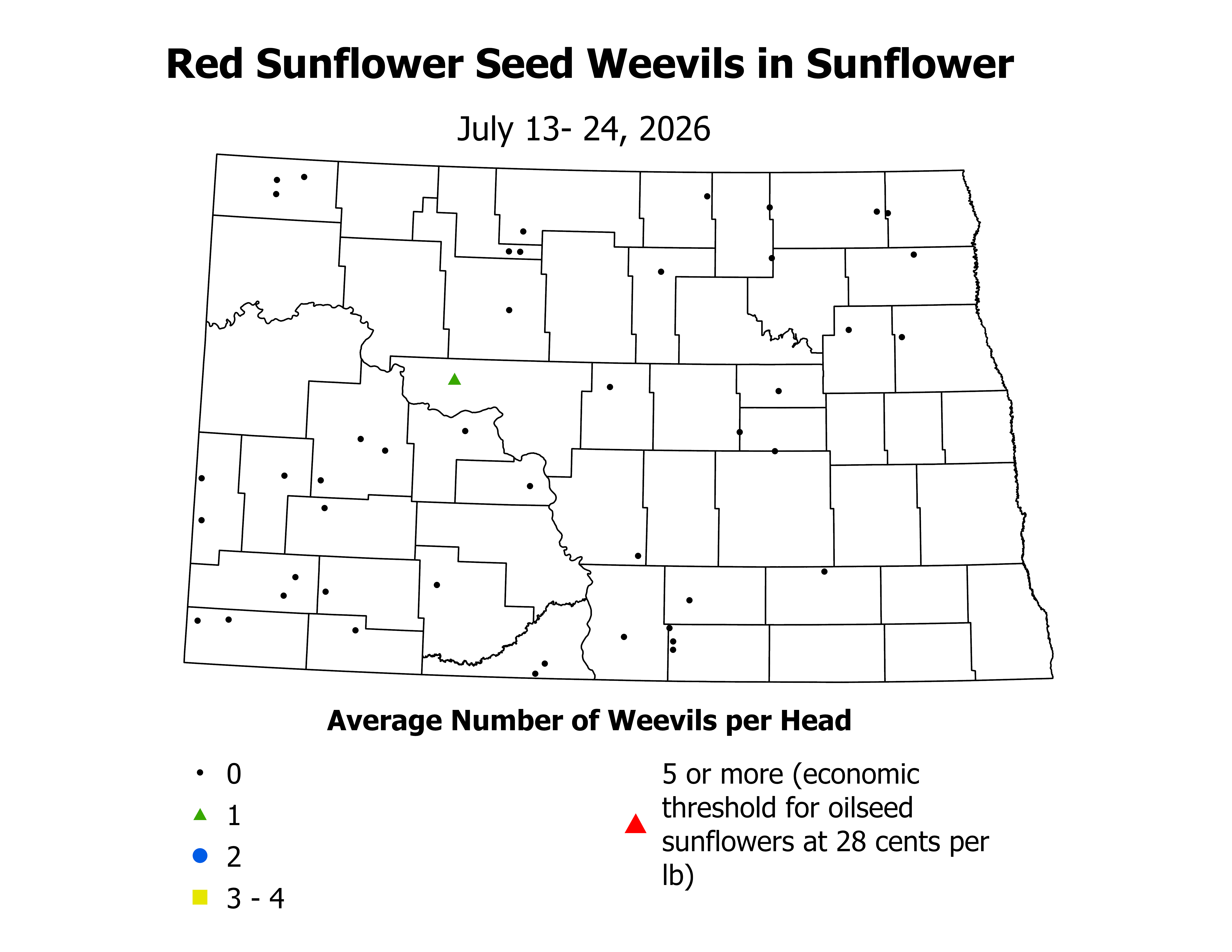 sunflower_RSSW_Head_2026July13ToJuly24.png